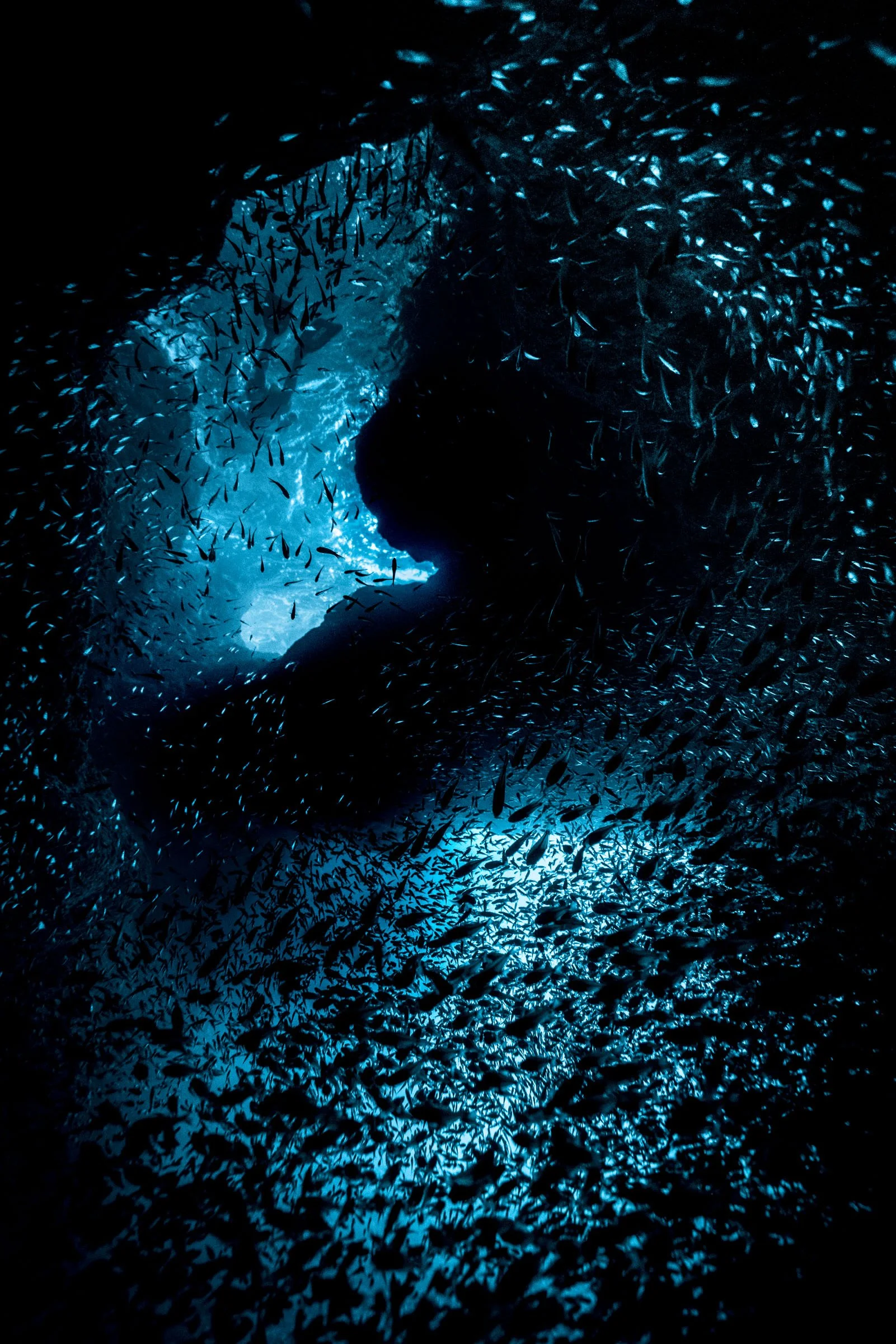 SANS TITRE - fine_art_photography_aline_escalon-32.jpg