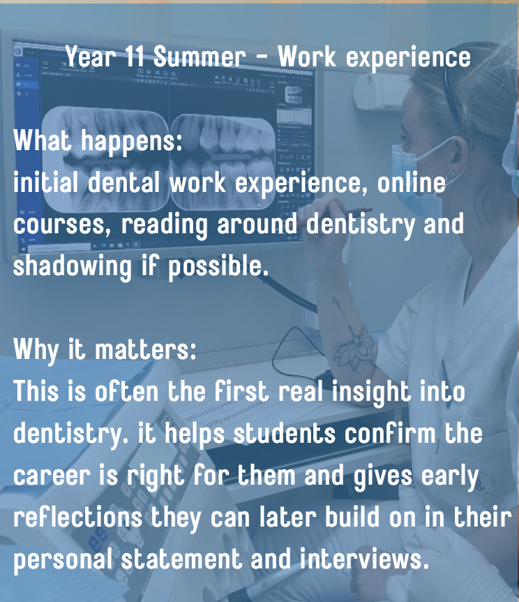 This document emphasises the importance of good, reflective summer work experience for 11th-grade students in dentistry.