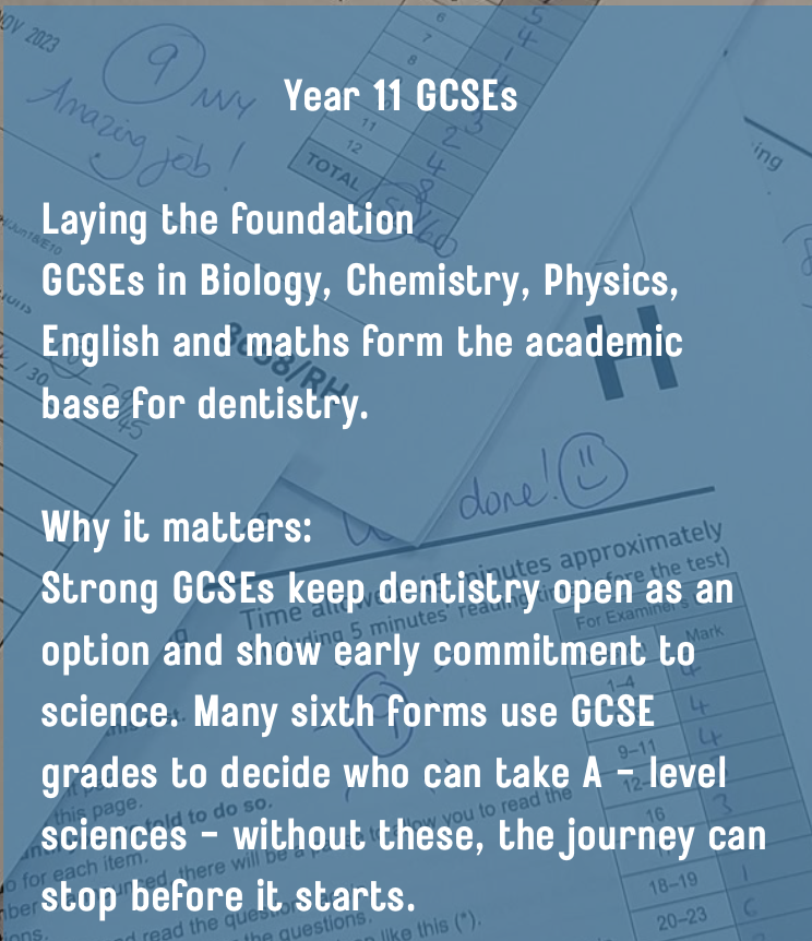 Screenshot of a document about Year 11 GCSEs in biology, chemistry, physics, English, and maths. The document emphasizes the importance of strong GCSEs for dentistry and highlights early commitment to science.