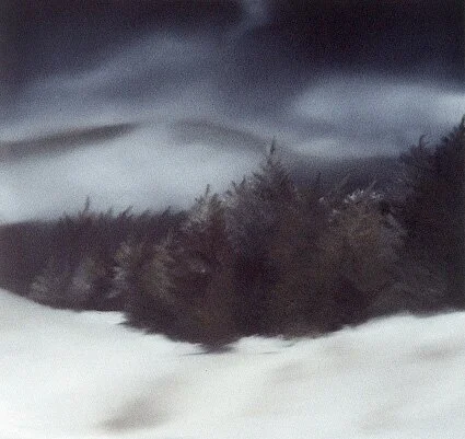 ÓLEO SOBRE MDF 34X36 SEM TÍTULO 2001  
 