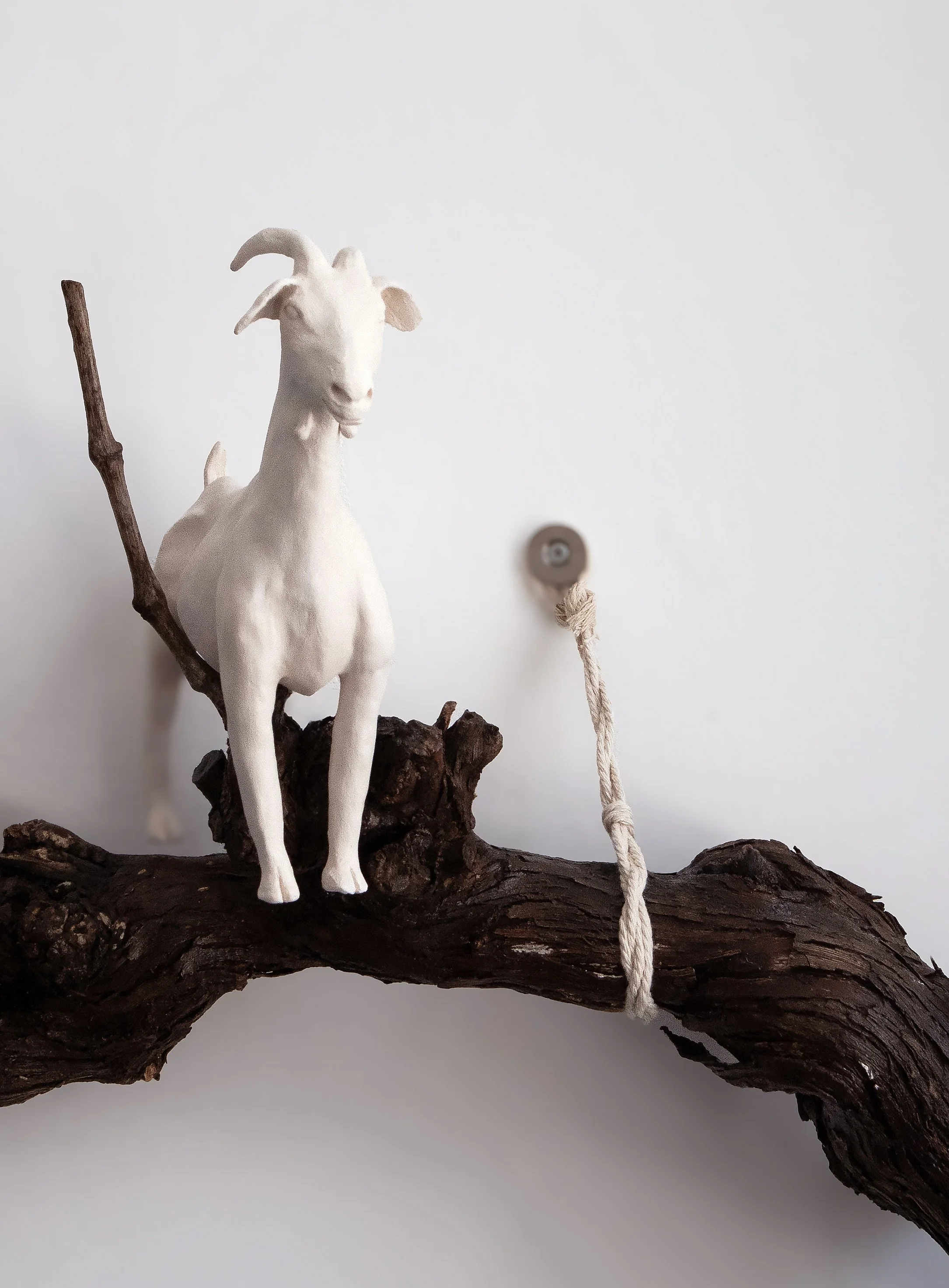 ESCULTURA PORMENOR SERIE HABITAT COMPARTILHADO GAIA.jpg