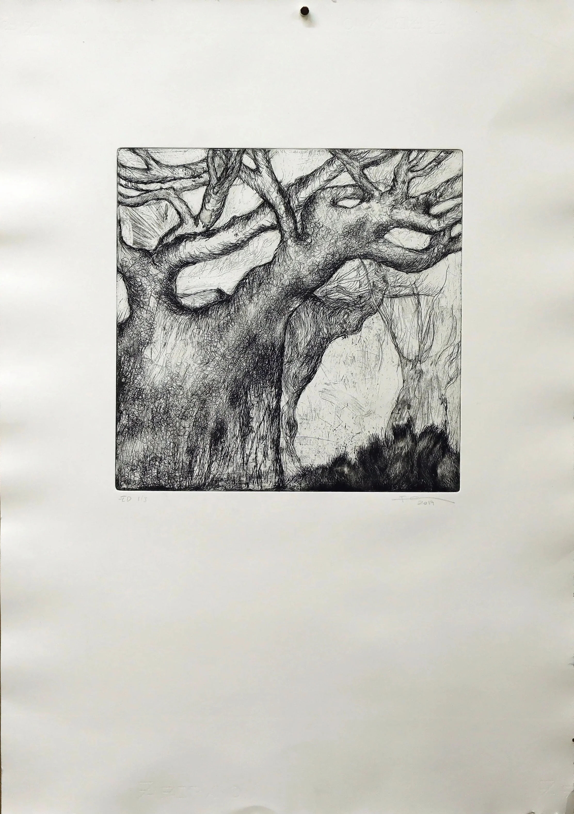 ED 1-3 GRAVURA - AGUA FORTE E AGUAS TINTAS 2019 30 X 30 - 50 X 70