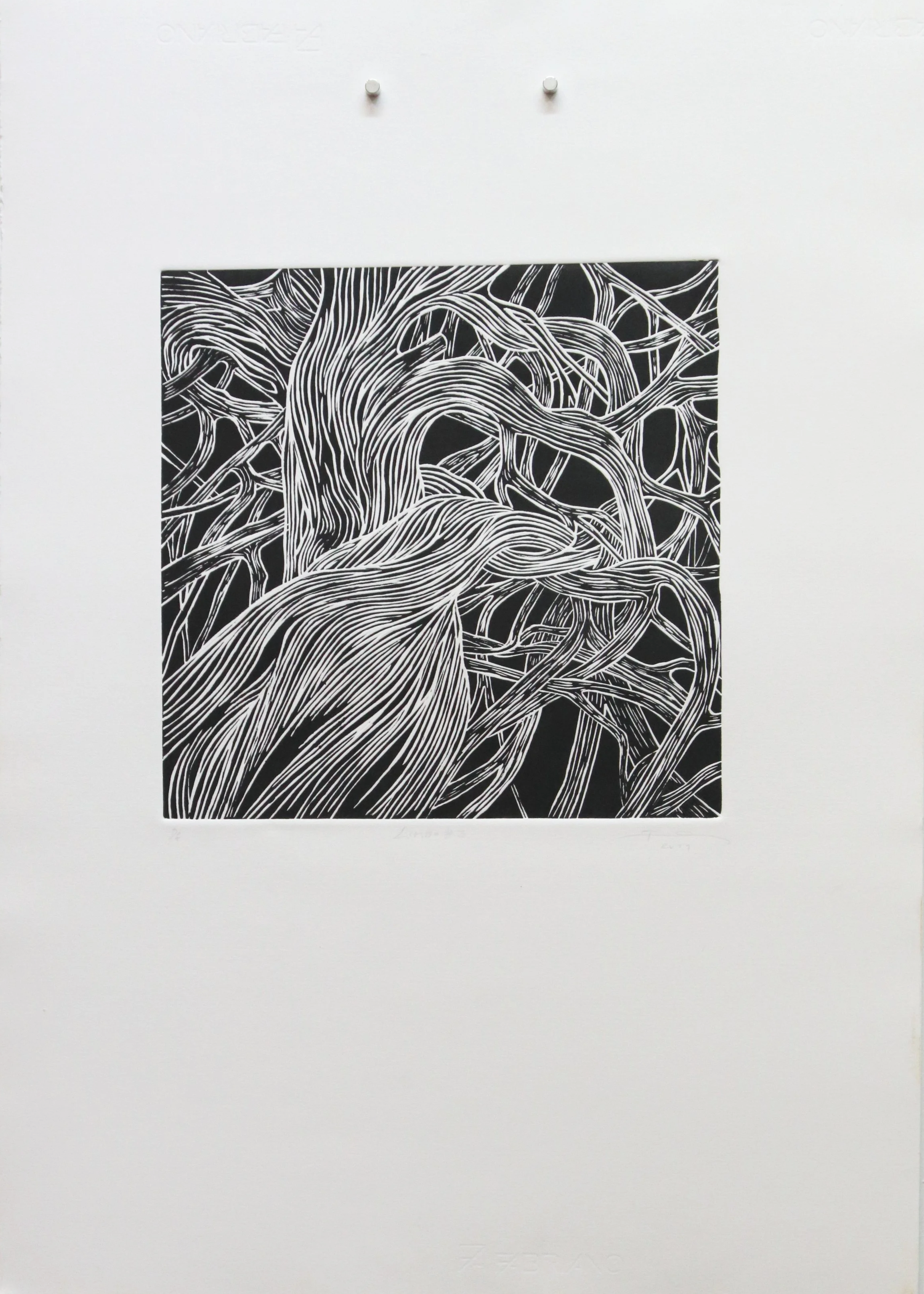 LINOGRAVRA 2020 PE SOBRE ROSAESPINA BR LIMBO #3 30 X 30 - 50 X 70