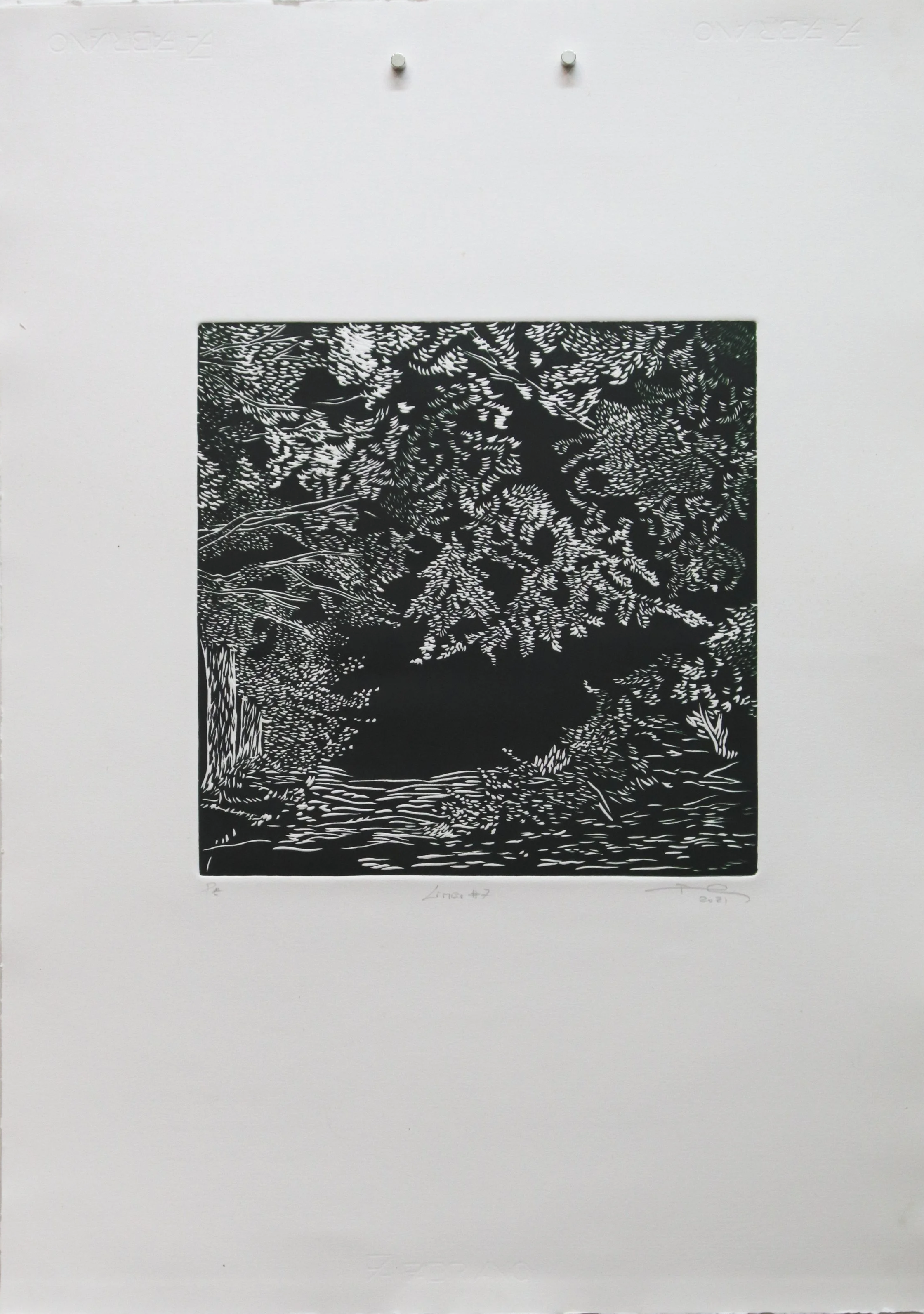 LINOGRAVRA 2021 PA 2 C SOBRE ROSAESPINA LIMBO #7 30 X 30 - 50 X 70