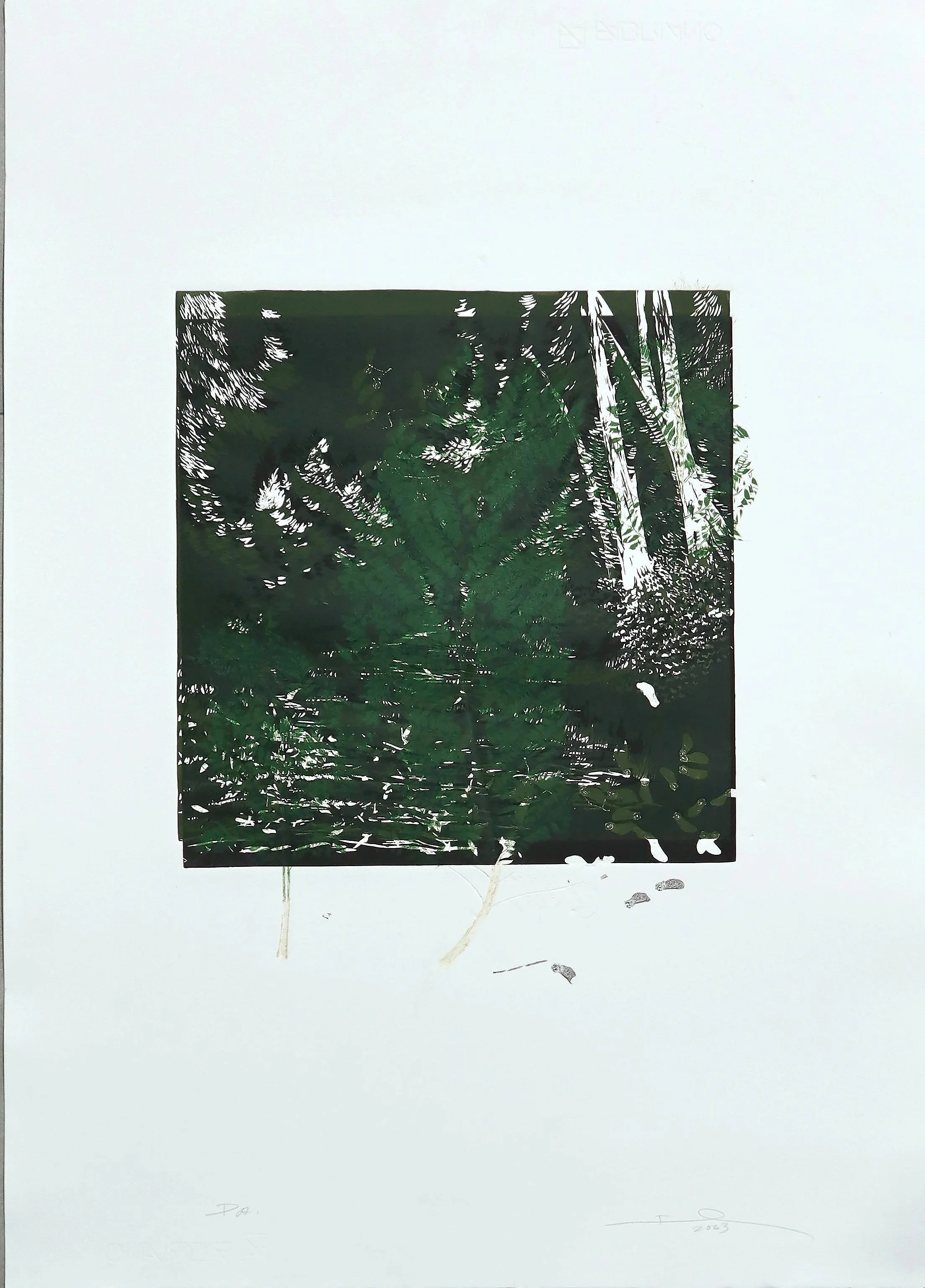 SERIE CONNECTING PA JACARANDA #2 - 2023 - 30X30 - 70X50 ROSAESPINA 