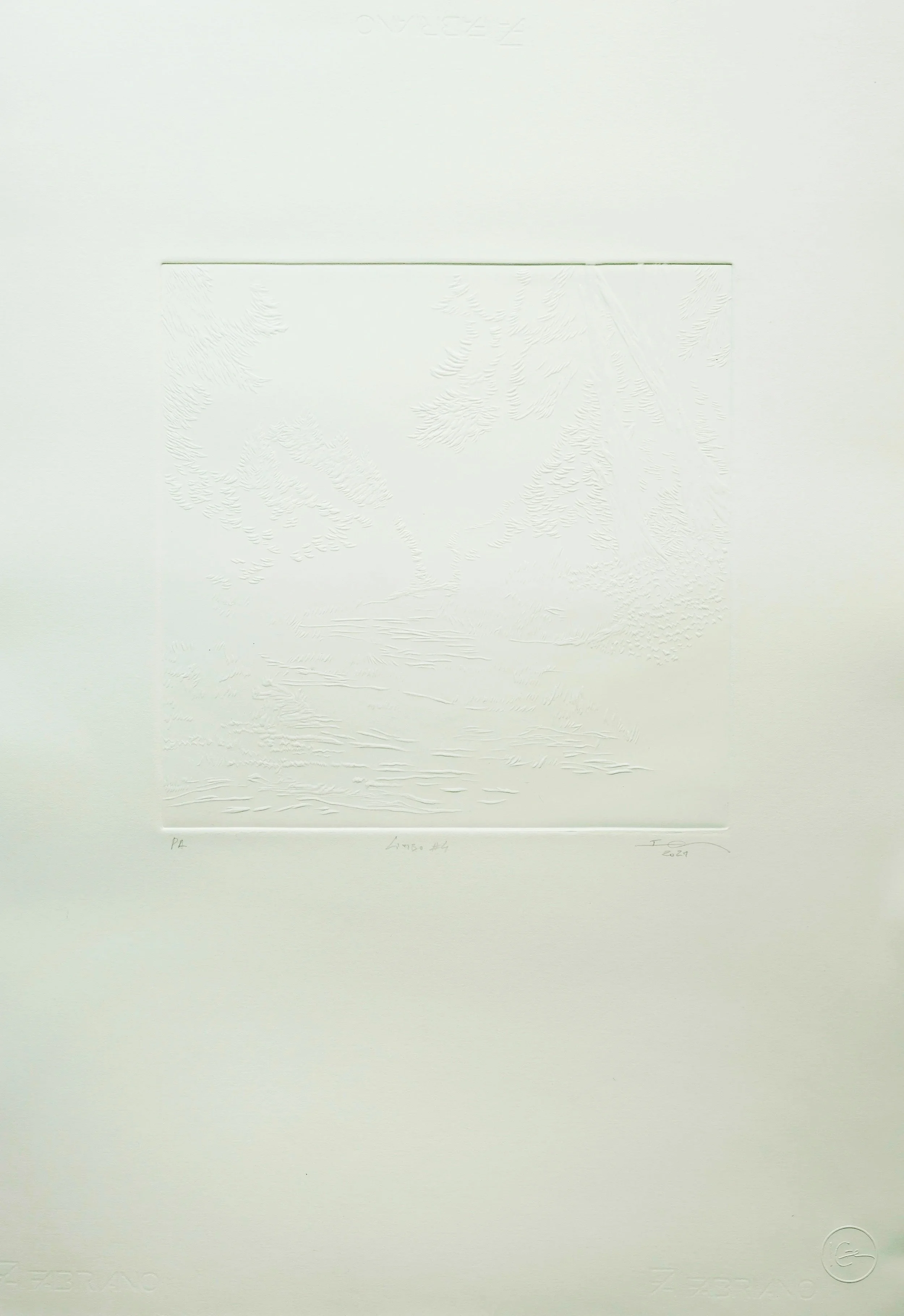 LINOGRAVRA PA 2021 SOBRE ROSAESPINA LIMBO #4 30 X 30 - 50X70