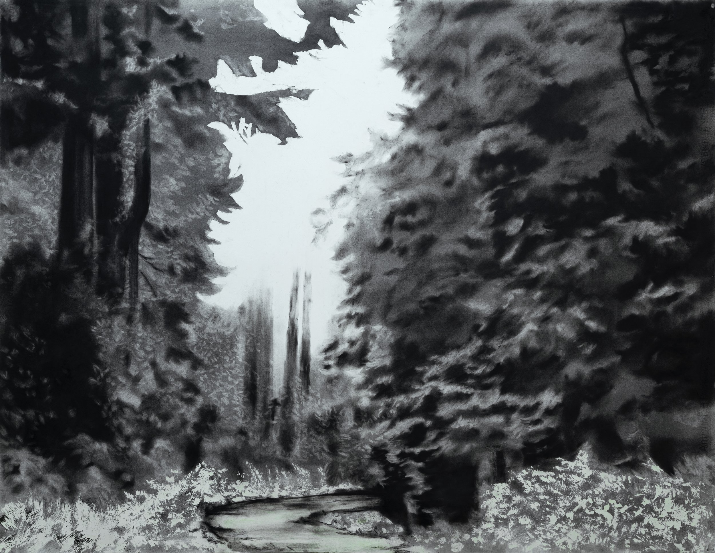 Série “Bruma Seca” – s Título #6 2019  Carvão sobre Fabriano 300gr 110 x 140