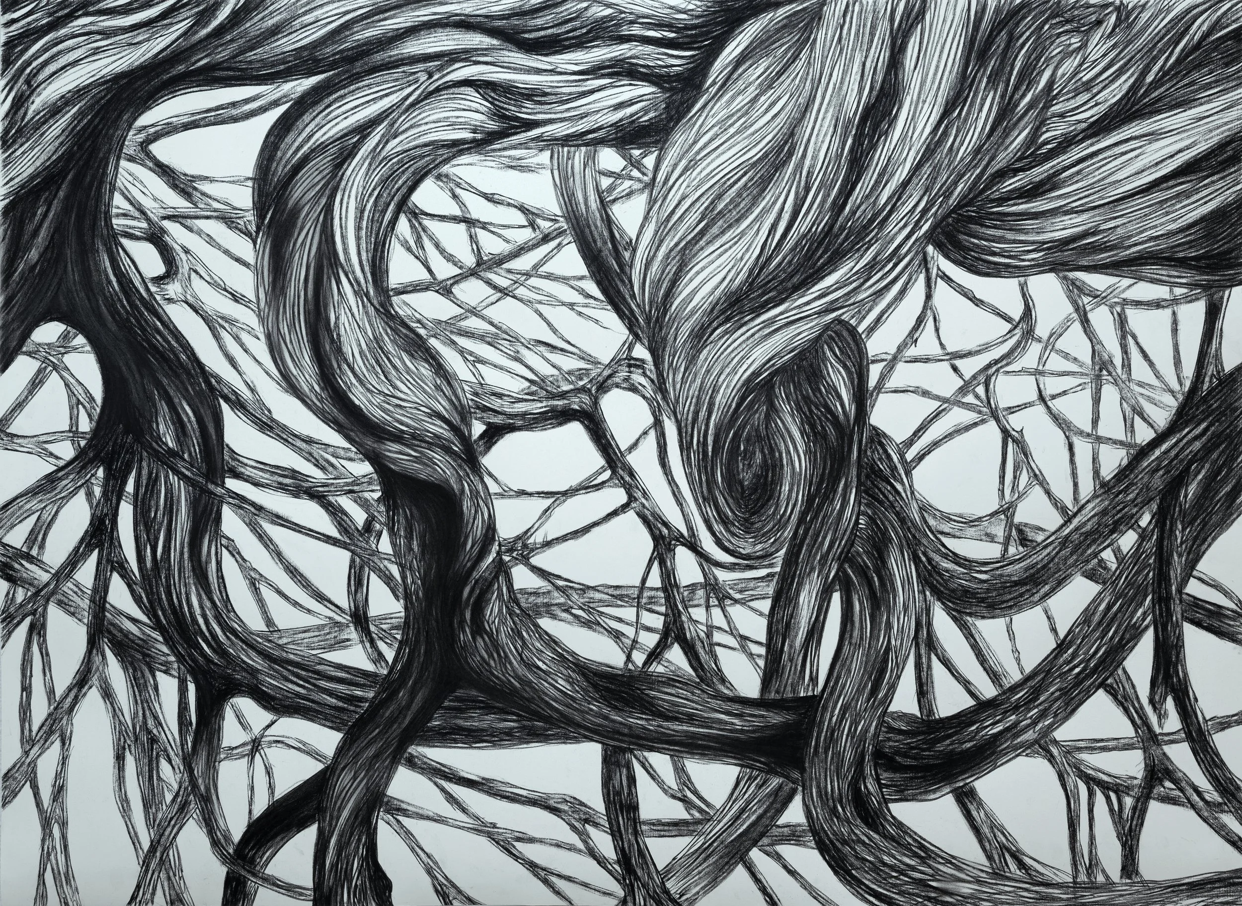 Série “Bruma Seca” – s Título #4 2019 Carvão sobre Fabriano 300gr 97 X132