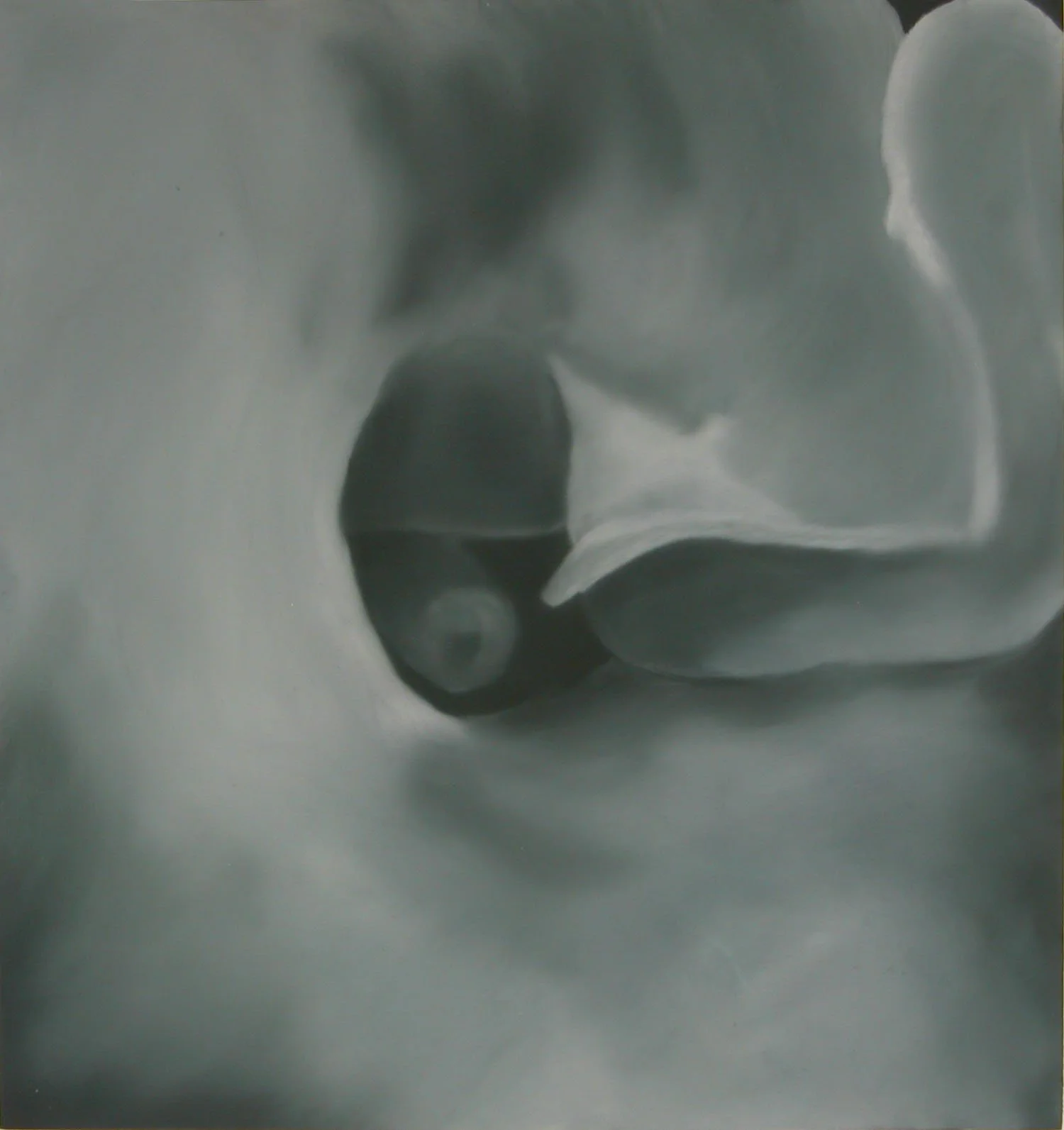 OLEO S MDF 2004 34X36 - SEM TÍTULO - IND 2005 GALERIA VERTICE