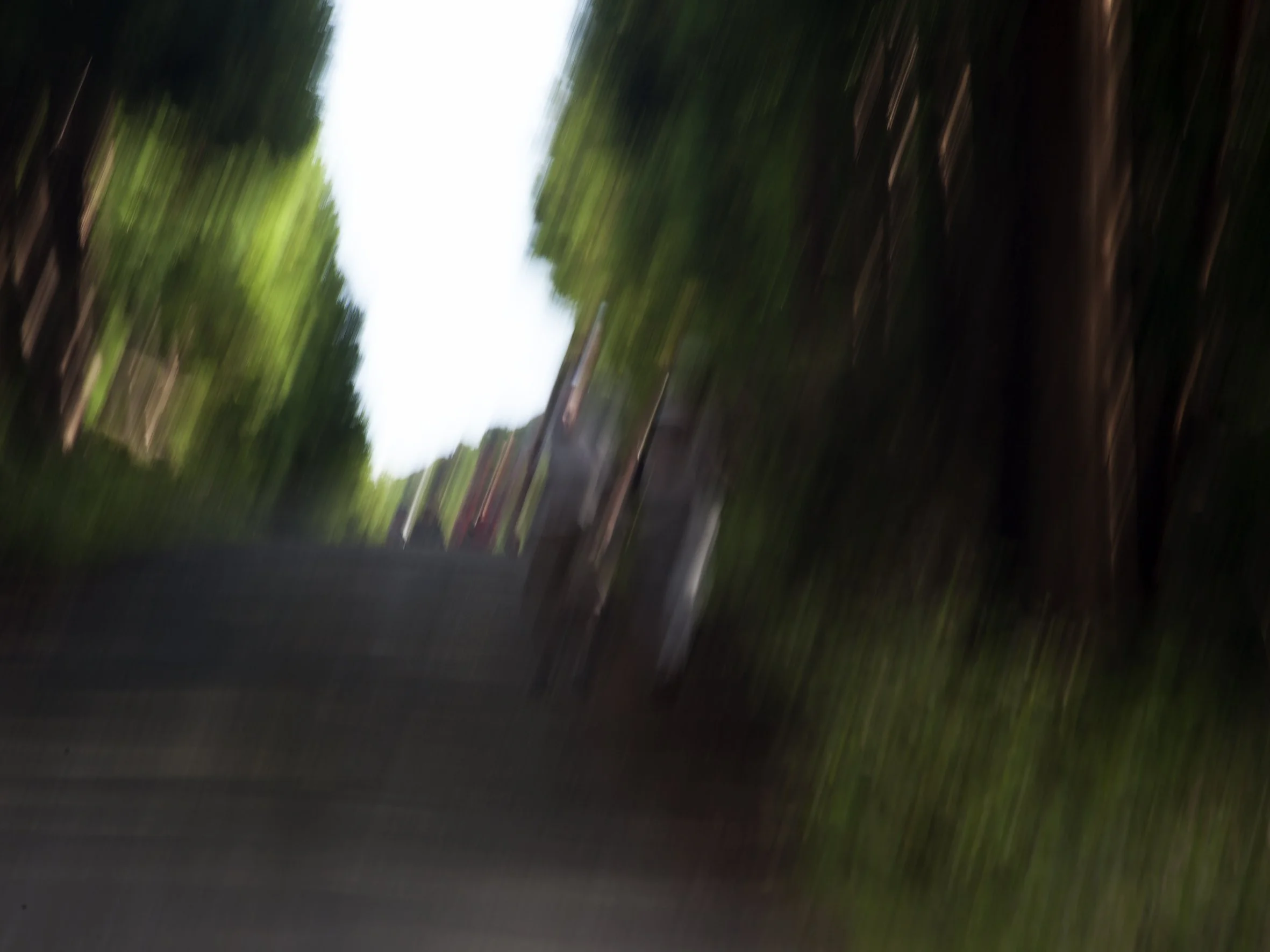 _MG_6537_AÇORES TERCEIRA.jpg