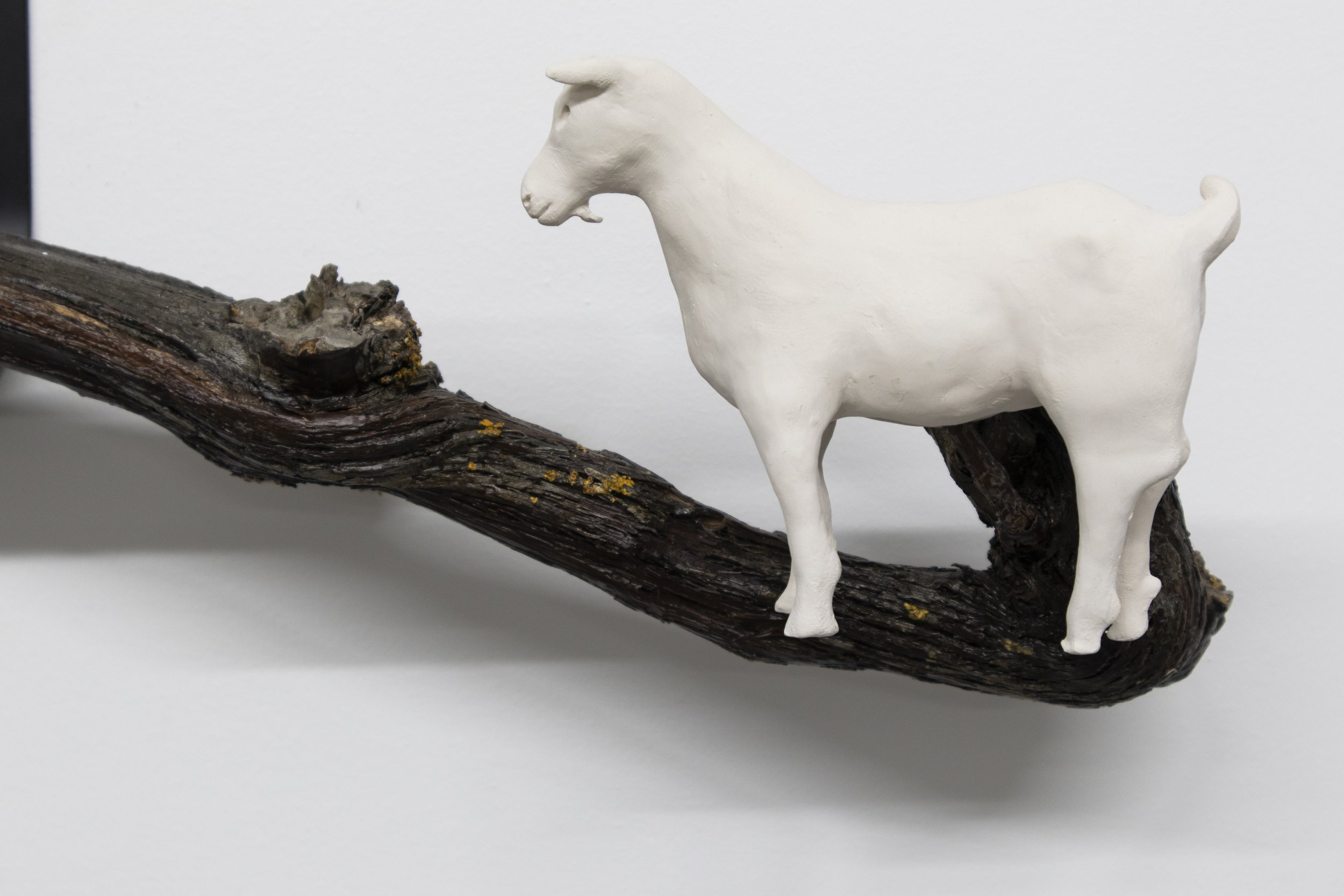 HABITAT COMPARTILHADO  NESHAMA 2025.JPG