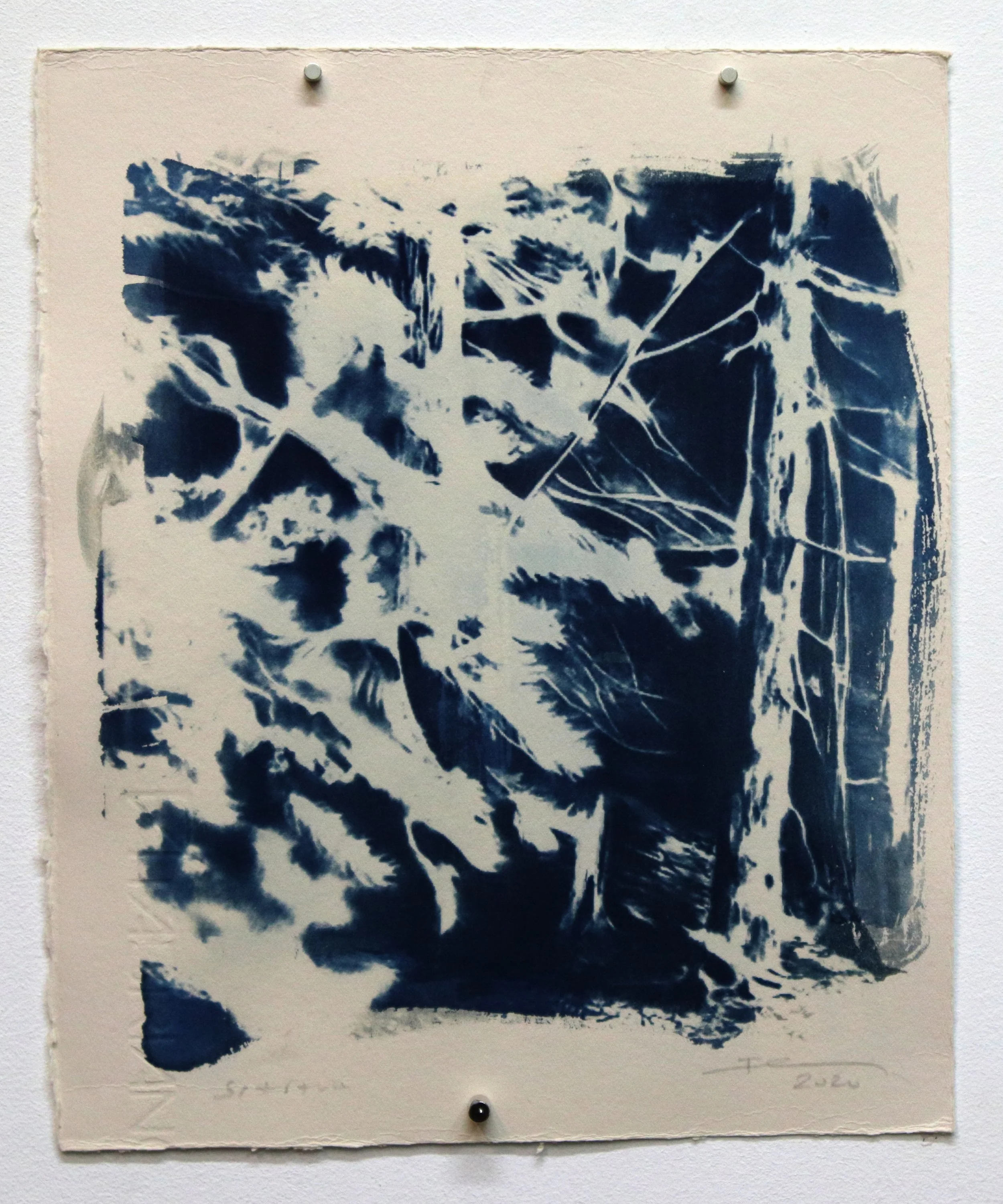 Serie Land-Scape 2020 DUARTE MARTINS#71  25x21.jpg