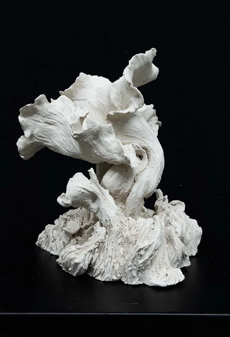 ESCULTURA #1 2026_23X21X21(PRAF CHACOTA) copiar.jpg