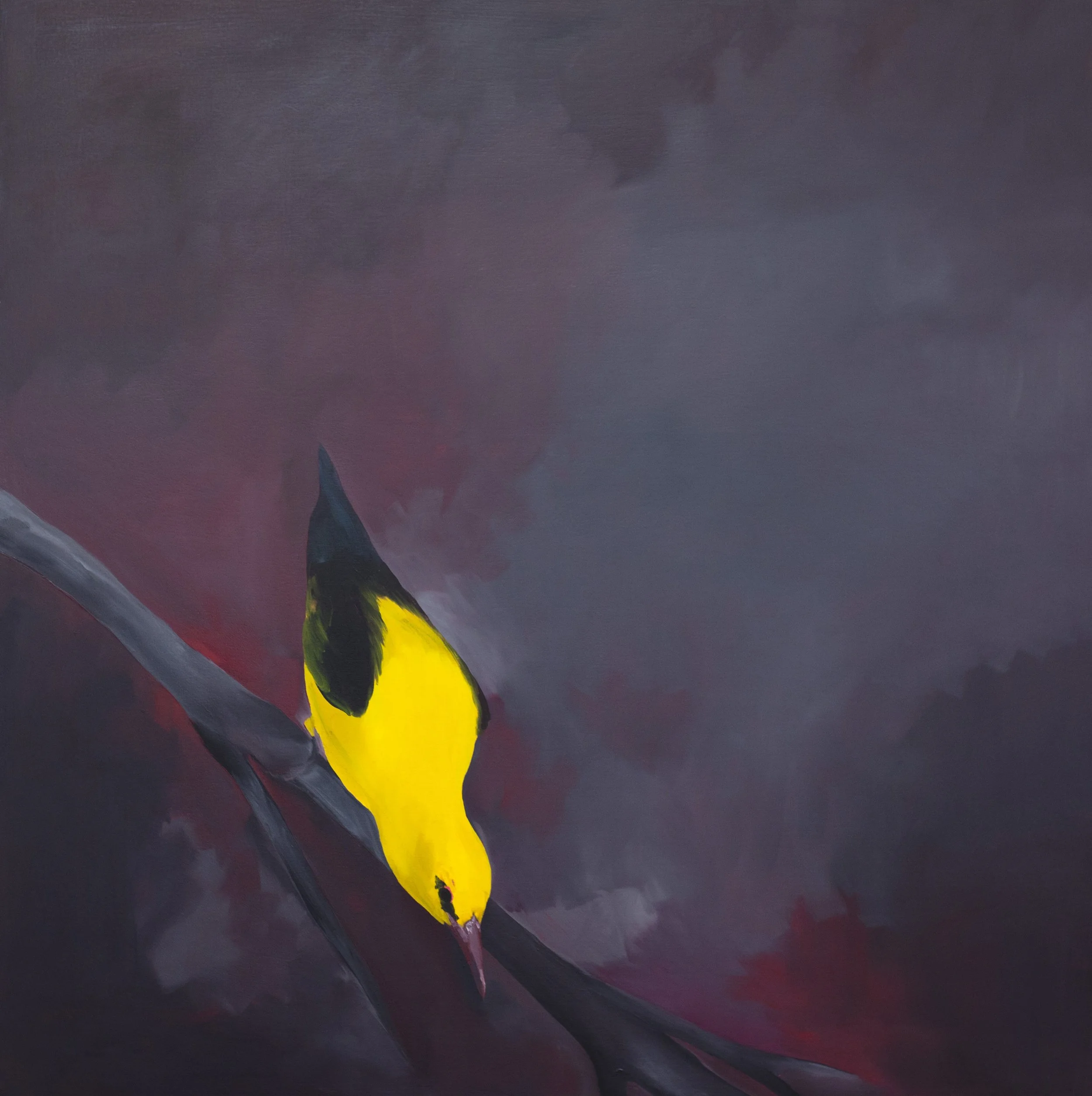 C. Particular Oleo sobre MDF 80x80 2011