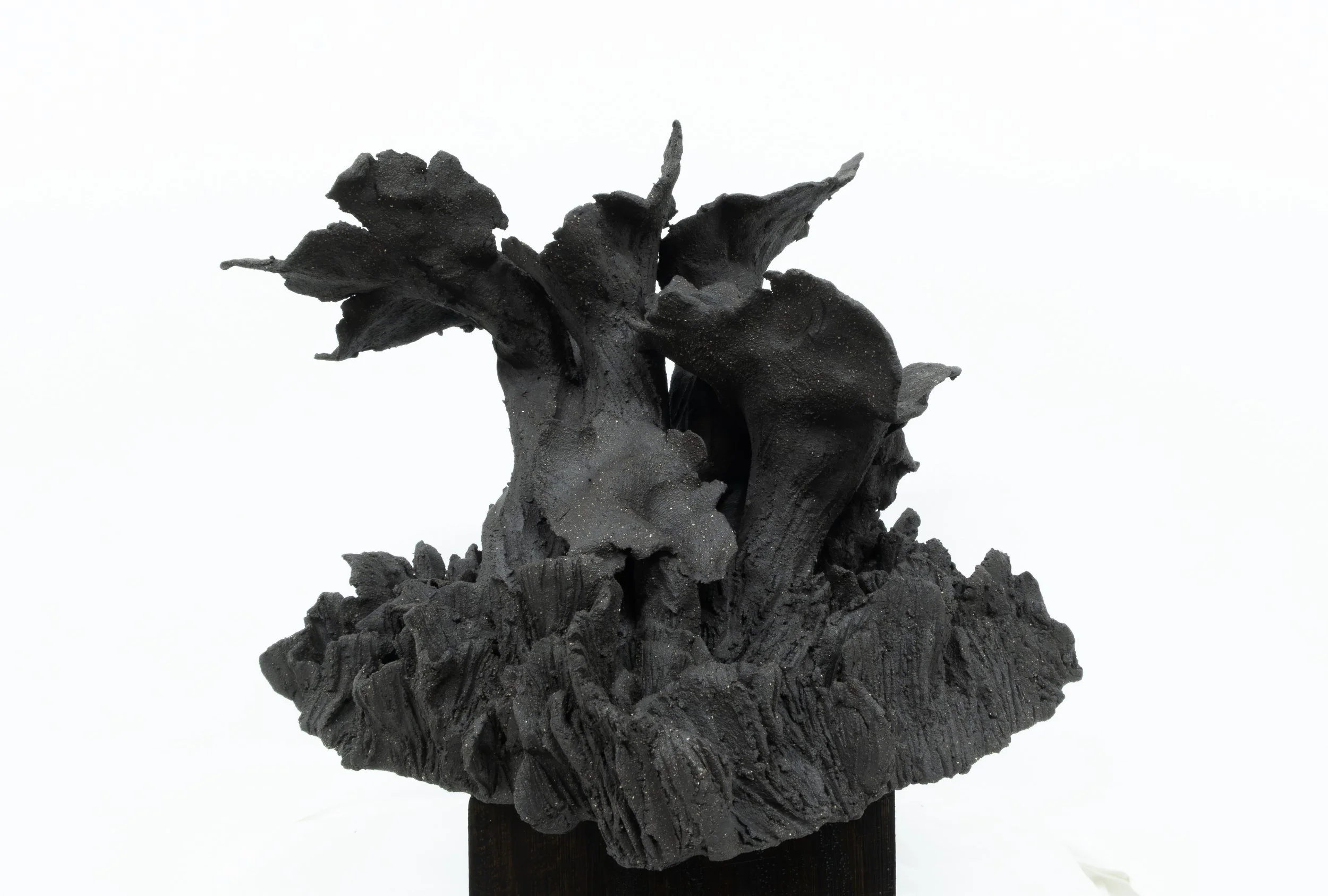 ESCULTURA ARGILA ALTA TEMPERATURA 16X17X18 (6) - 2026.jpg