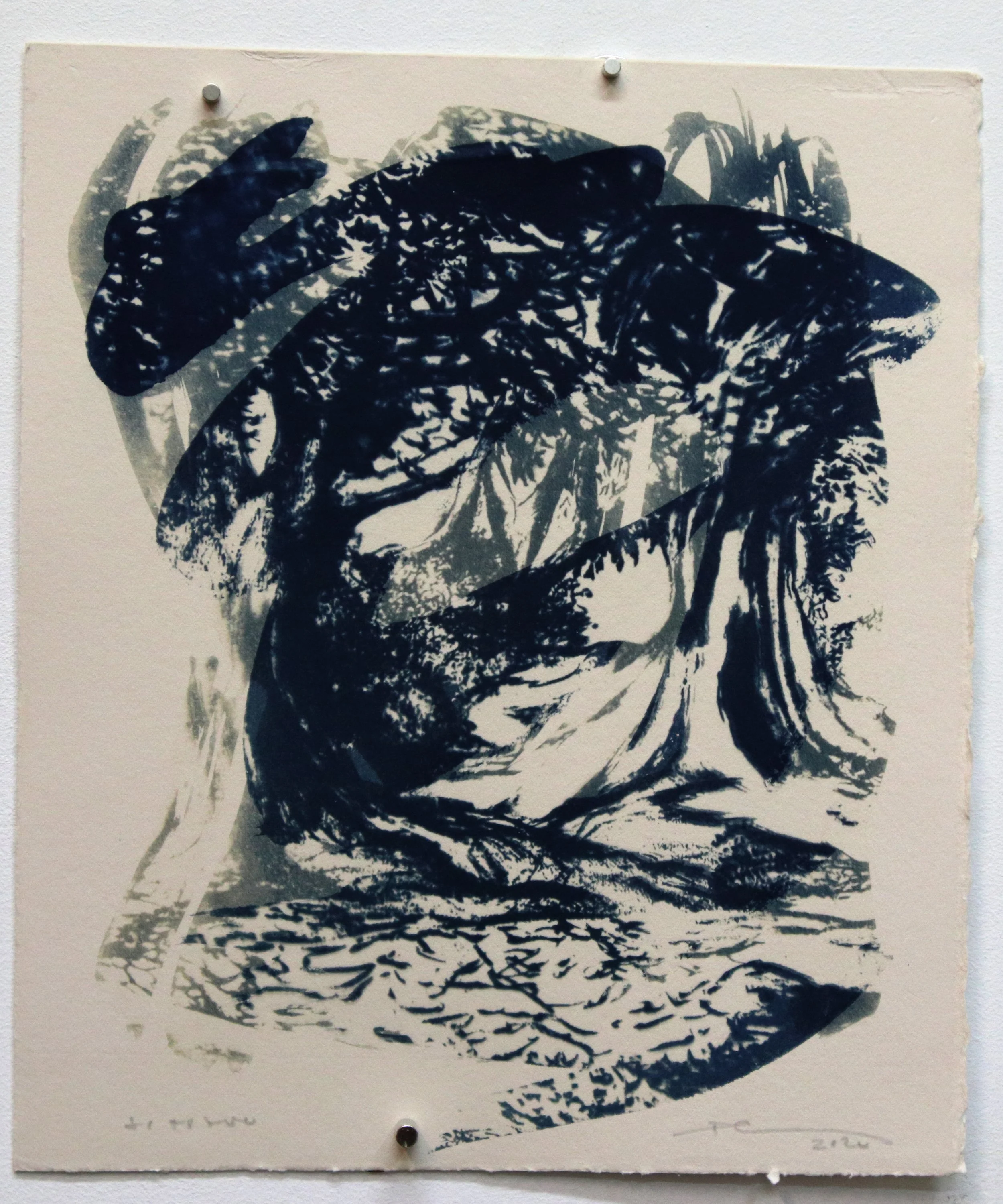 Serie Land-Scape 2020 DUARTE MARTINS#31  25x21.jpg