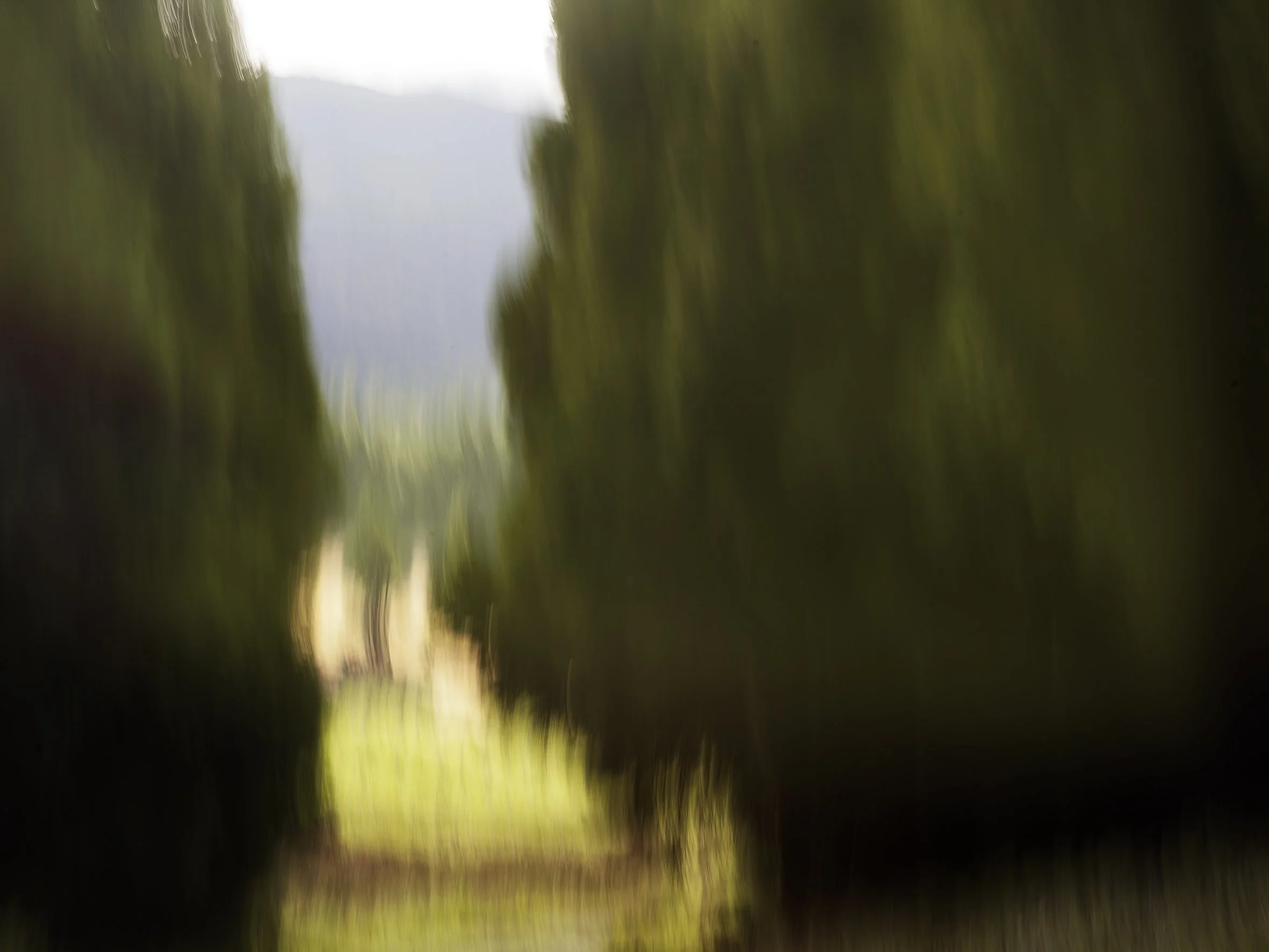 _MG_6533_AÇORES TERCEIRA.jpg