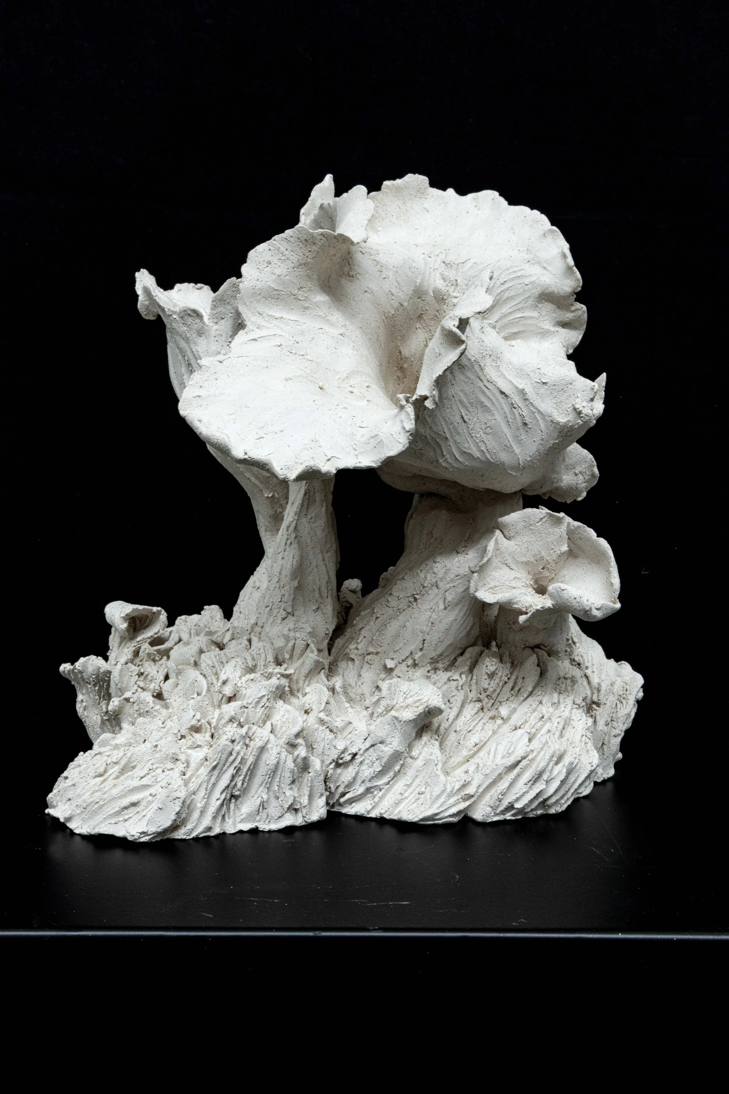 ESCULTURA #1 2026_23X21X21(PRAF CHACOTA) (2)_1.jpg