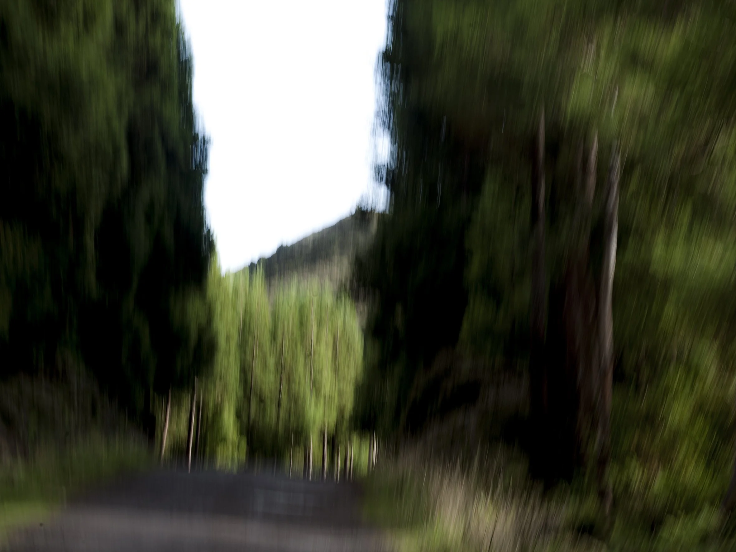 _MG_6538_AÇORES TERCEIRA 2.jpg