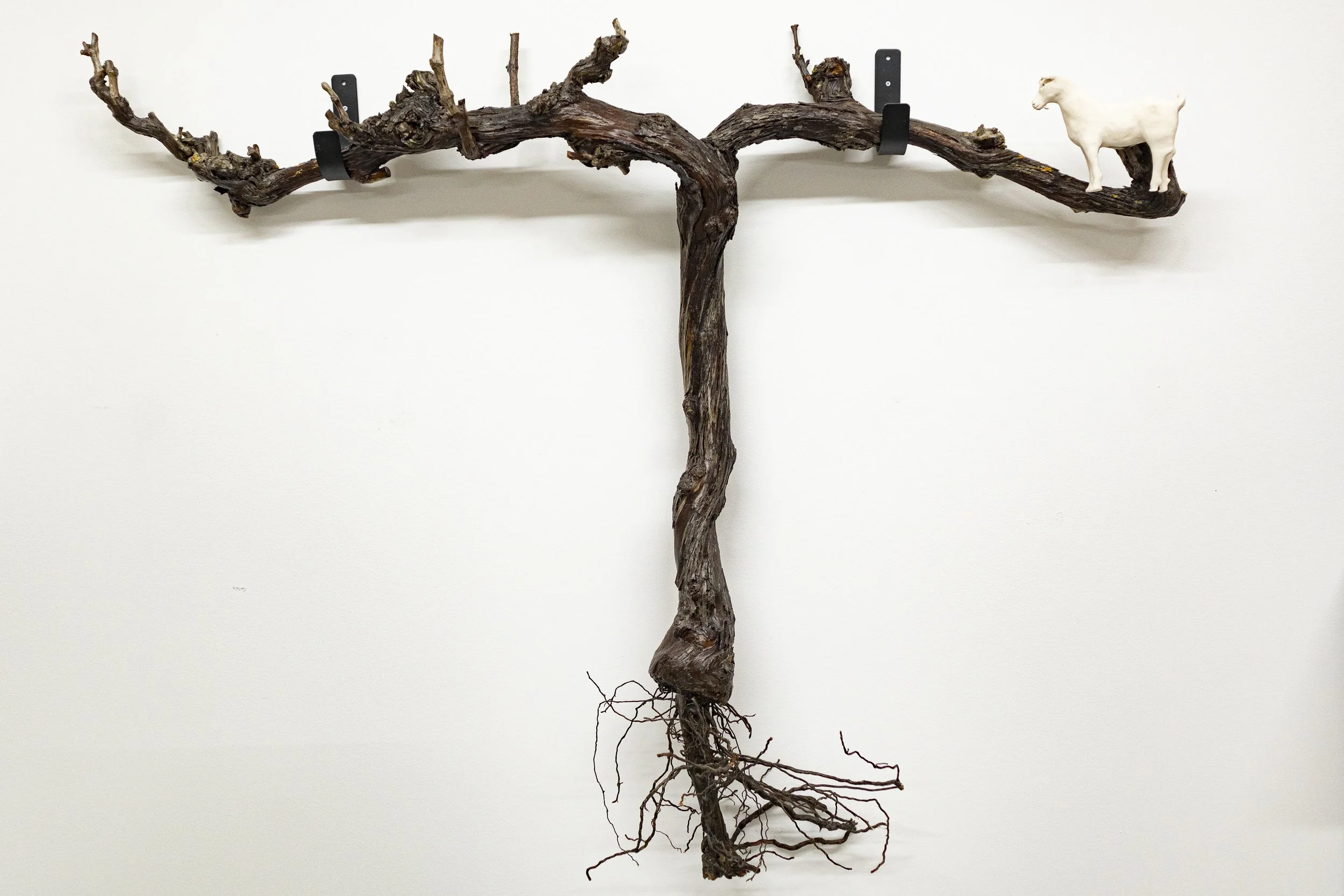 HABITAT COMPARTILHADO  NESHAMA 2025 ARGILA BRANCA.jpg