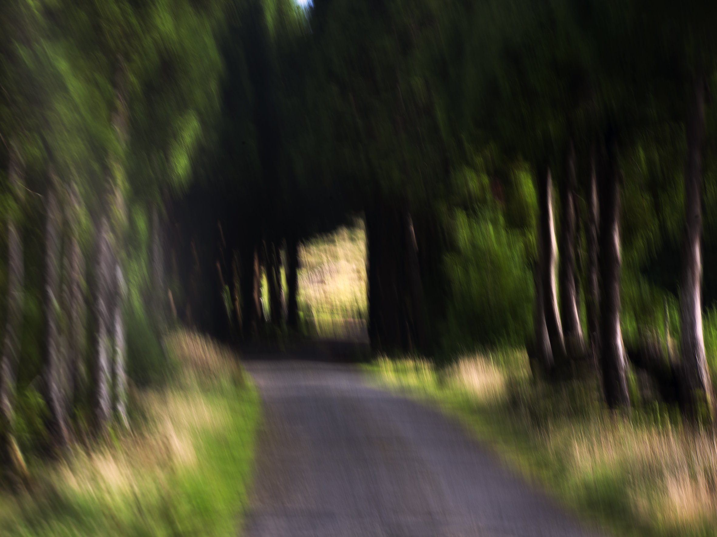 _MG_6539_AÇORES TERCEIRA.jpg