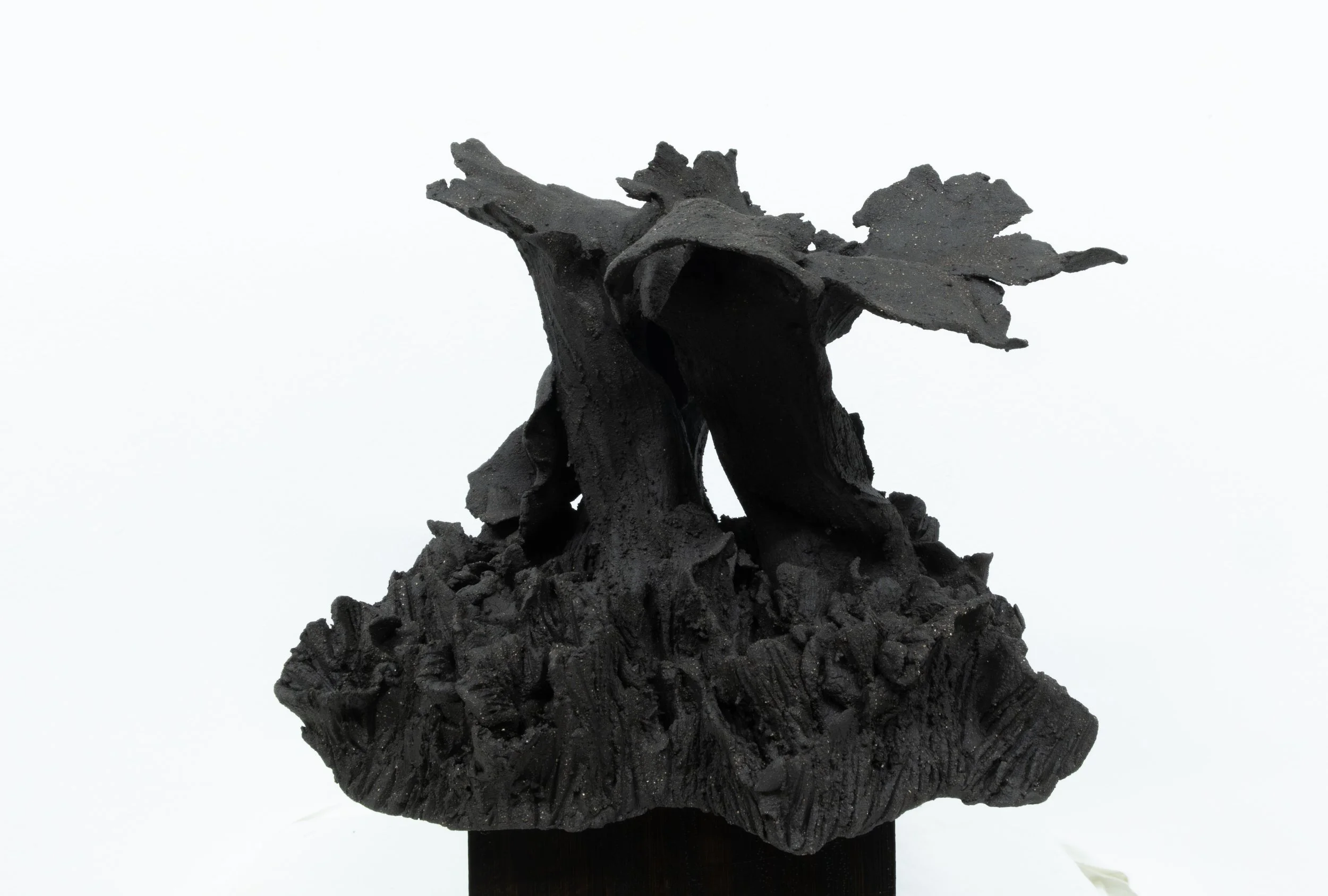 ESCULTURA ARGILA ALTA TEMPERATURA 16X17X18 (4) - 2026.jpg