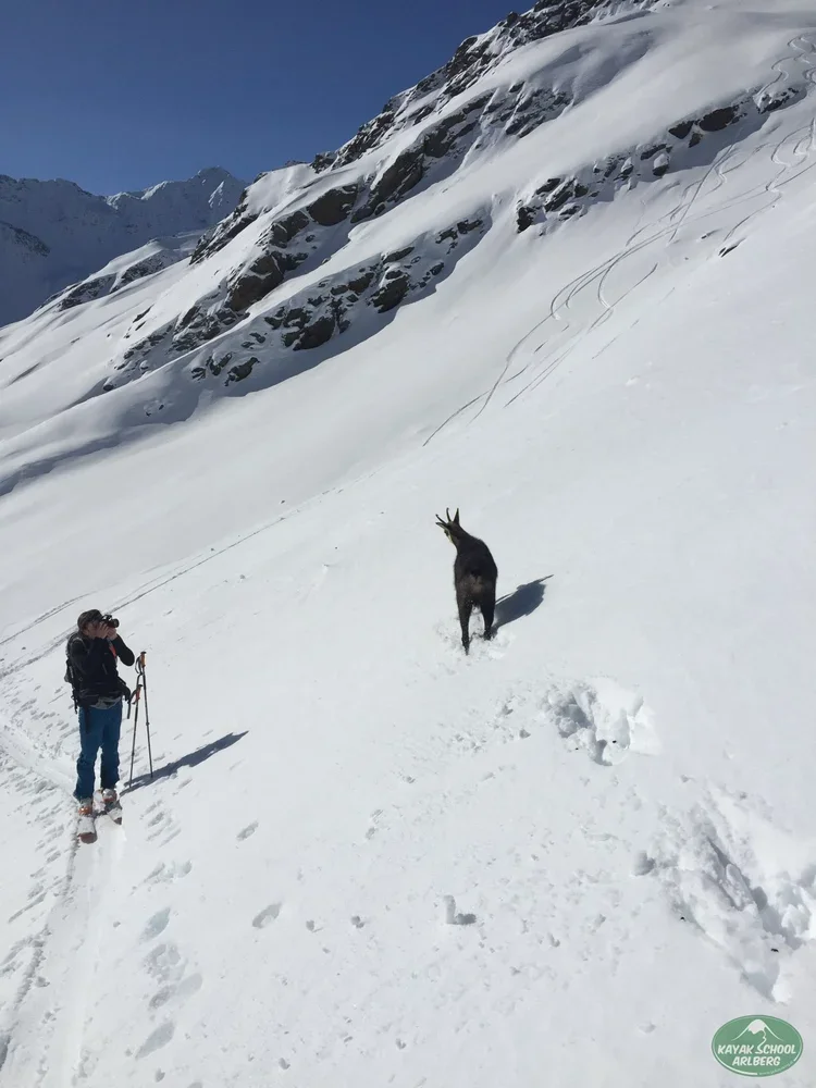 Winter-Skiing-Arlberg-Part-1-11.webp
