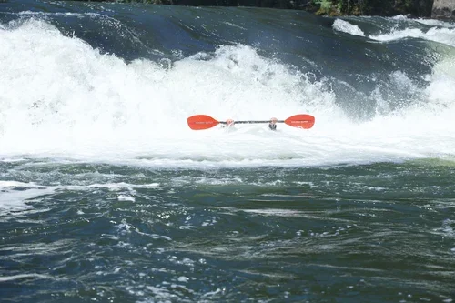 Double-Dutch-Paddles.webp