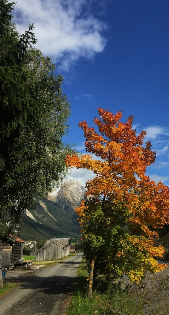 Kayak-School-Austria-Summer-Autumn-2017-03.webp