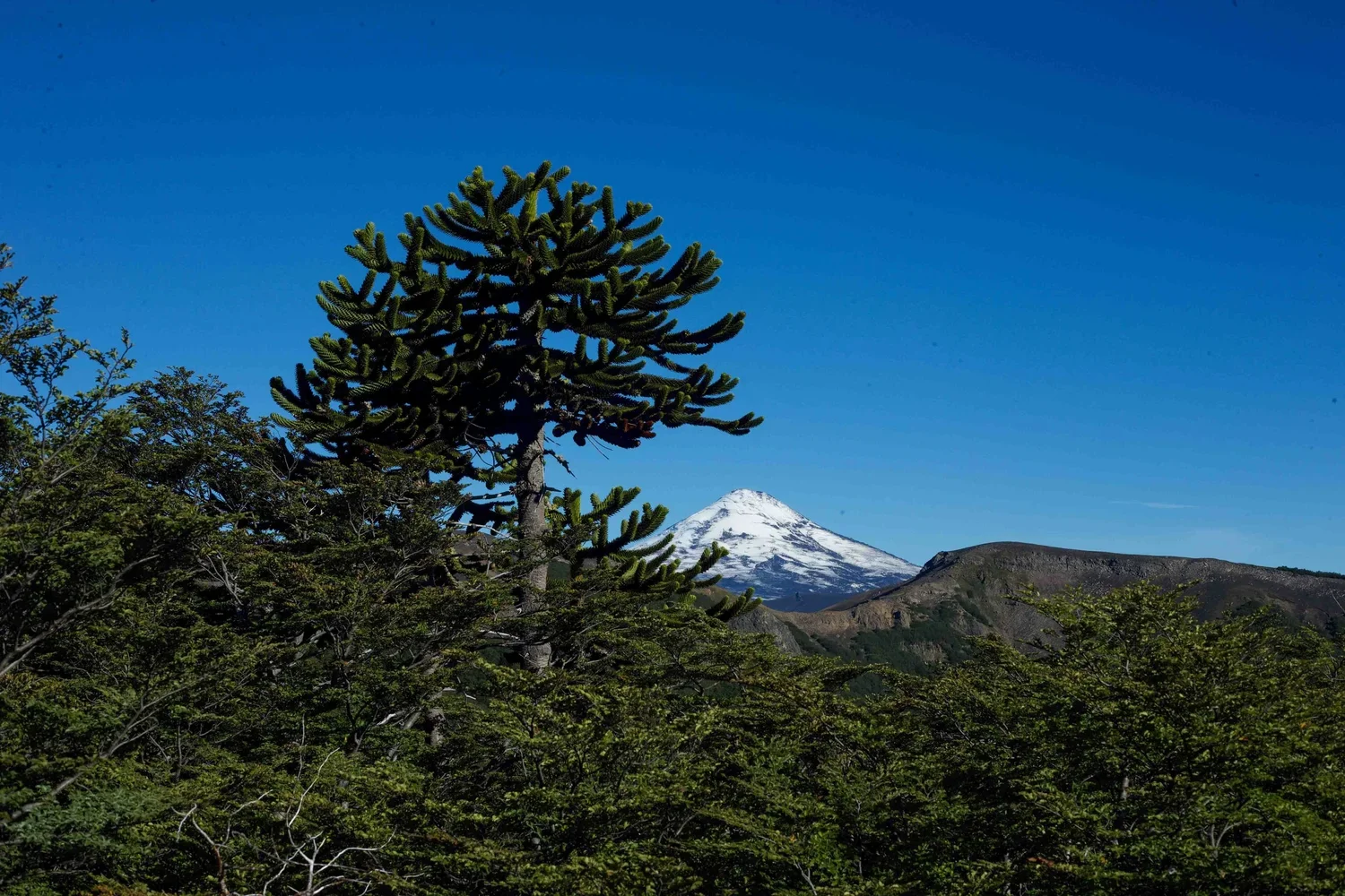 Parque Villarrica