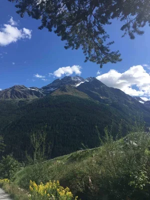 Arlberg-Mountains-Austria.webp