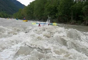 Striebel-Designs-Paddle.webp