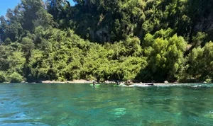 Pucon-Kayak-School.webp