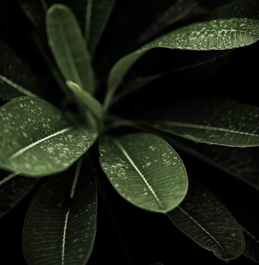 image-8-min-1.png