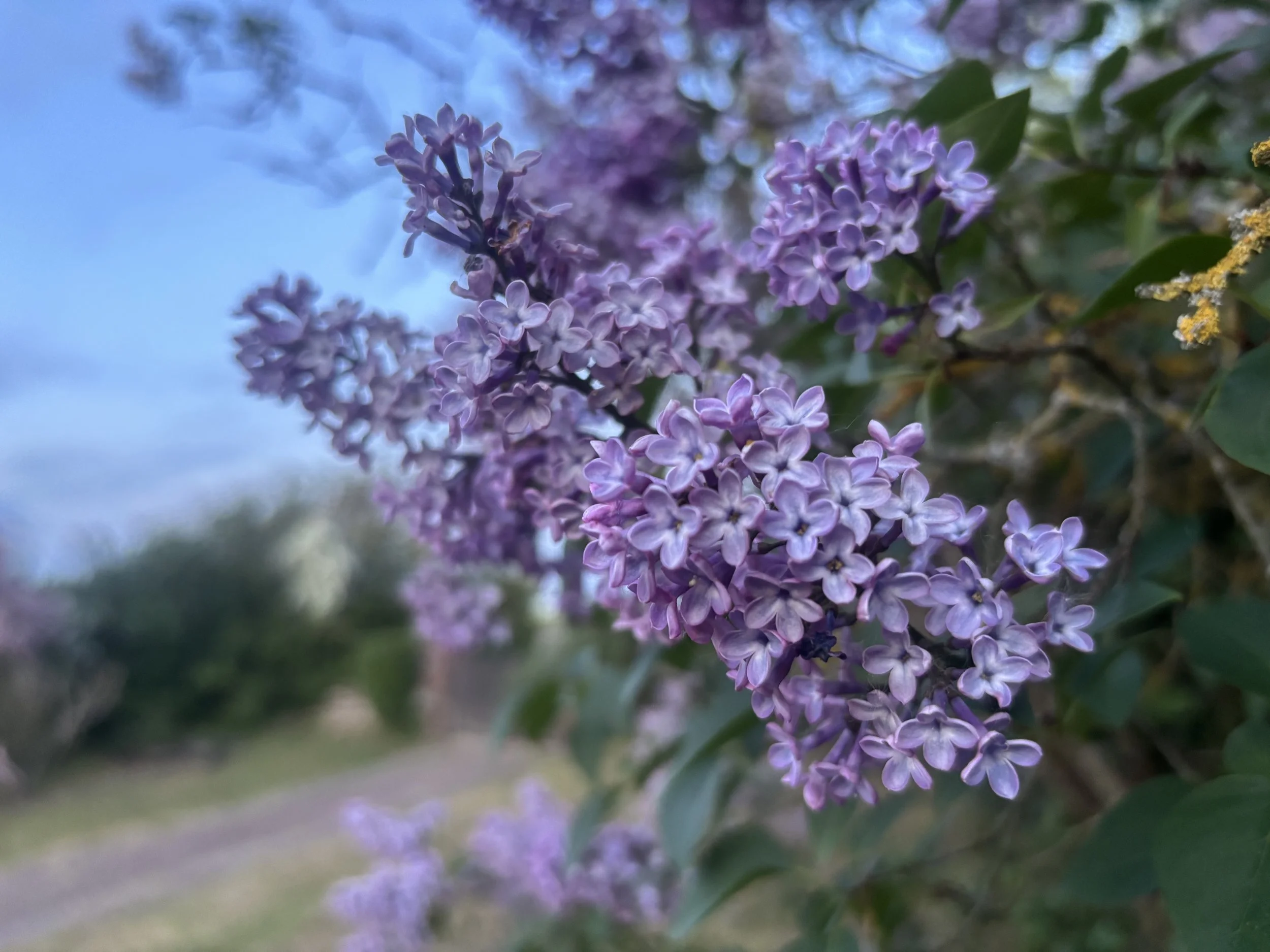 IMG_9405.jpeg