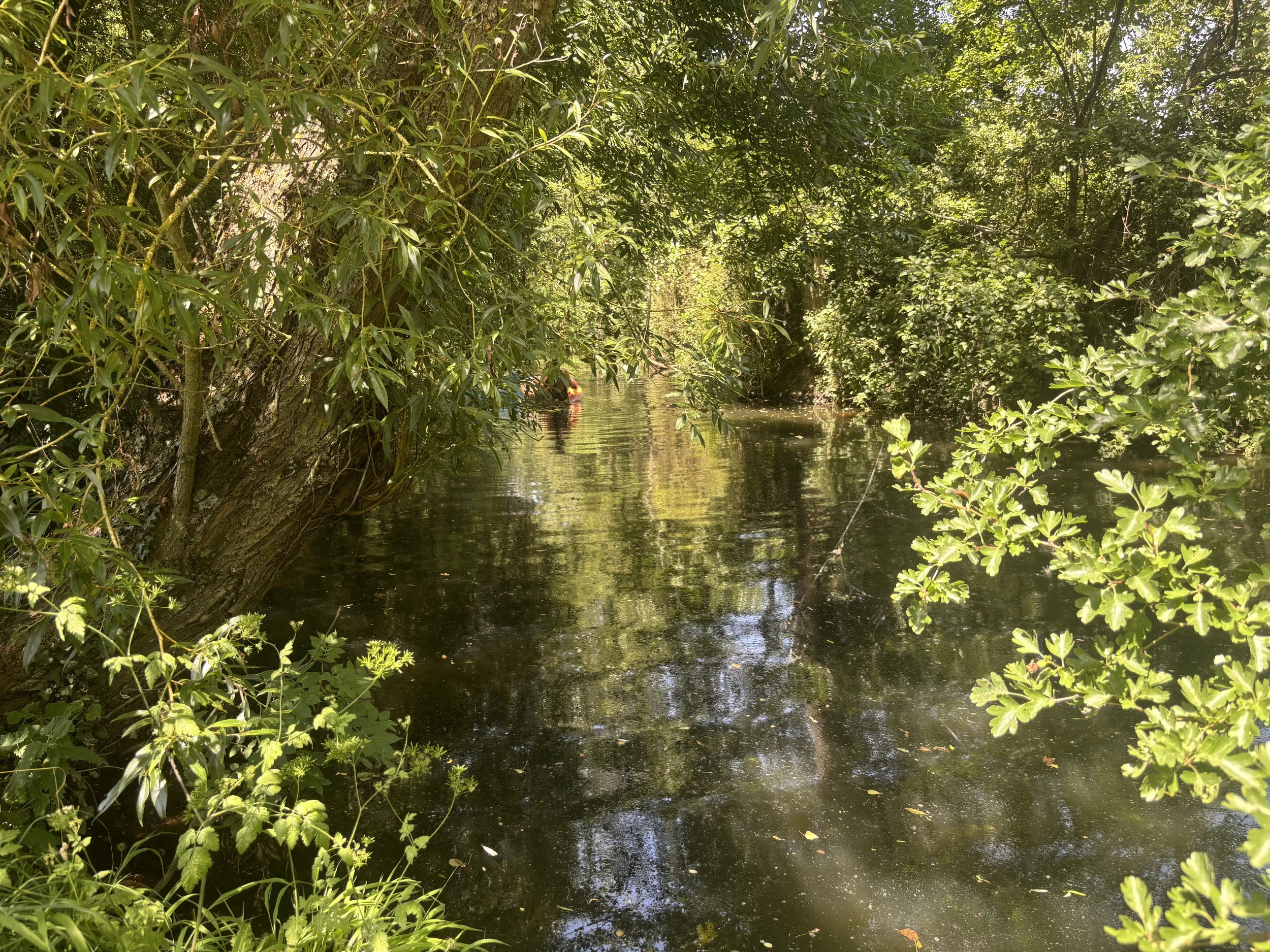 IMG_0935.jpeg