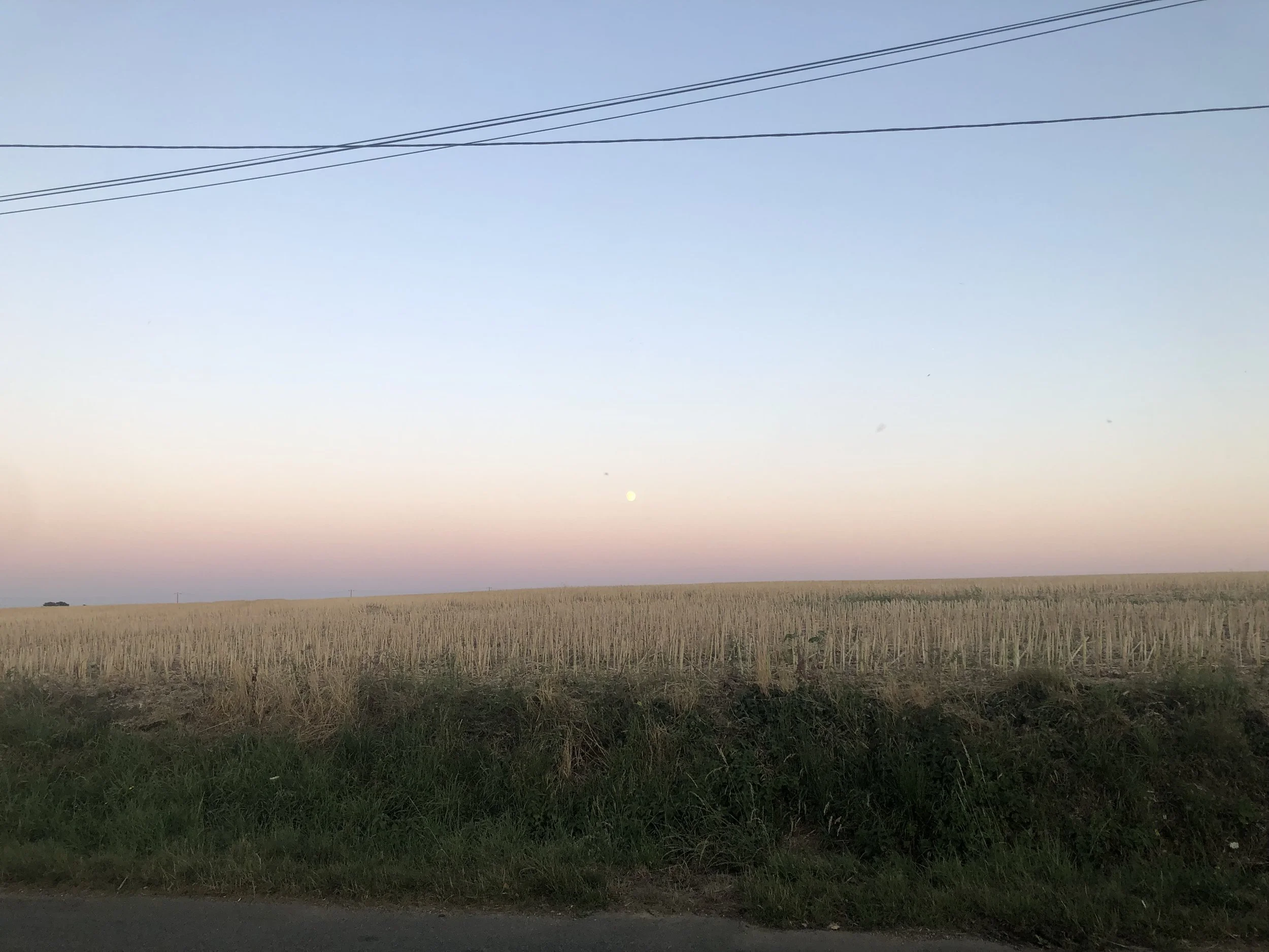 IMG_1472.jpeg