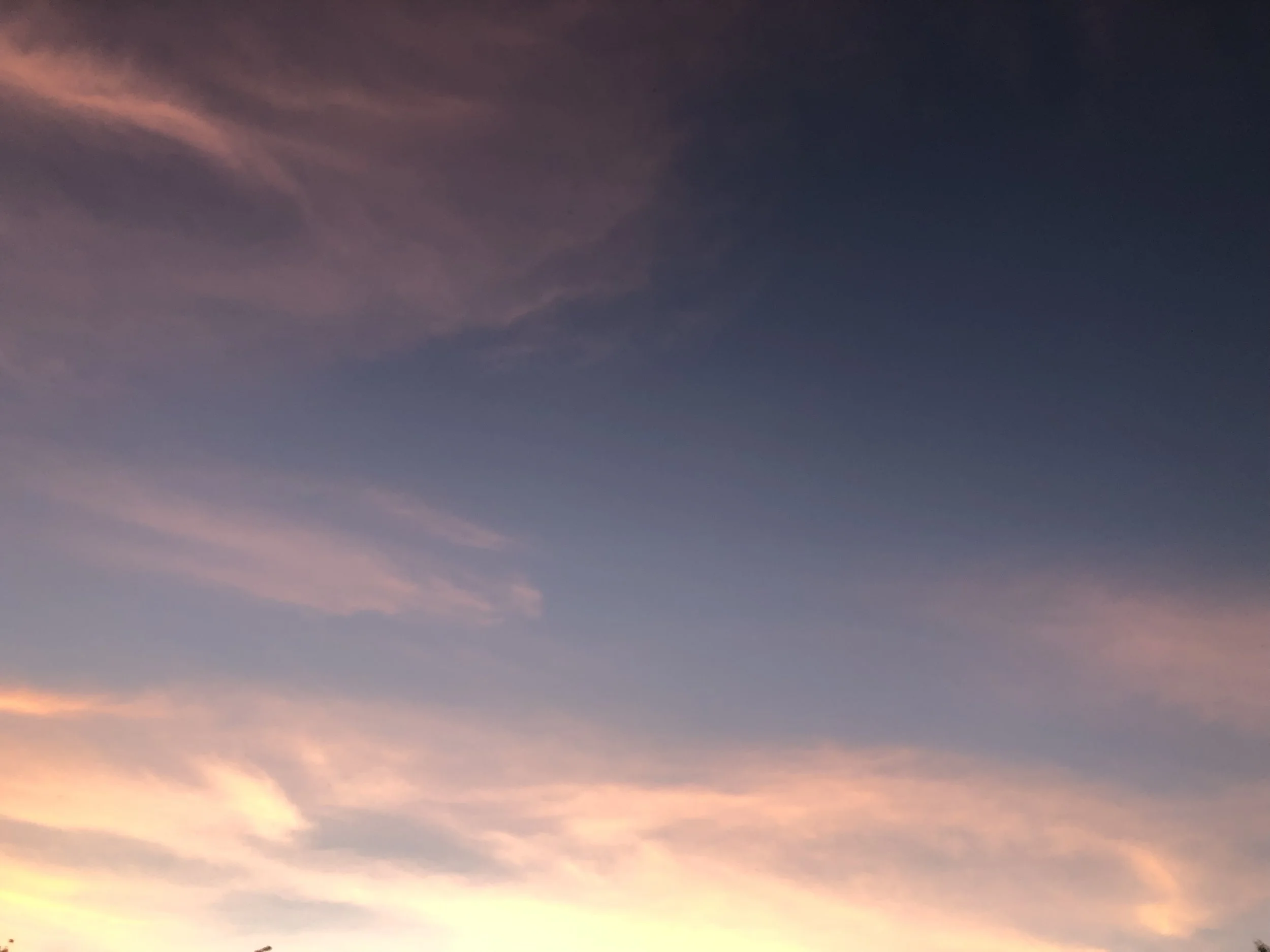 IMG_4158.jpeg