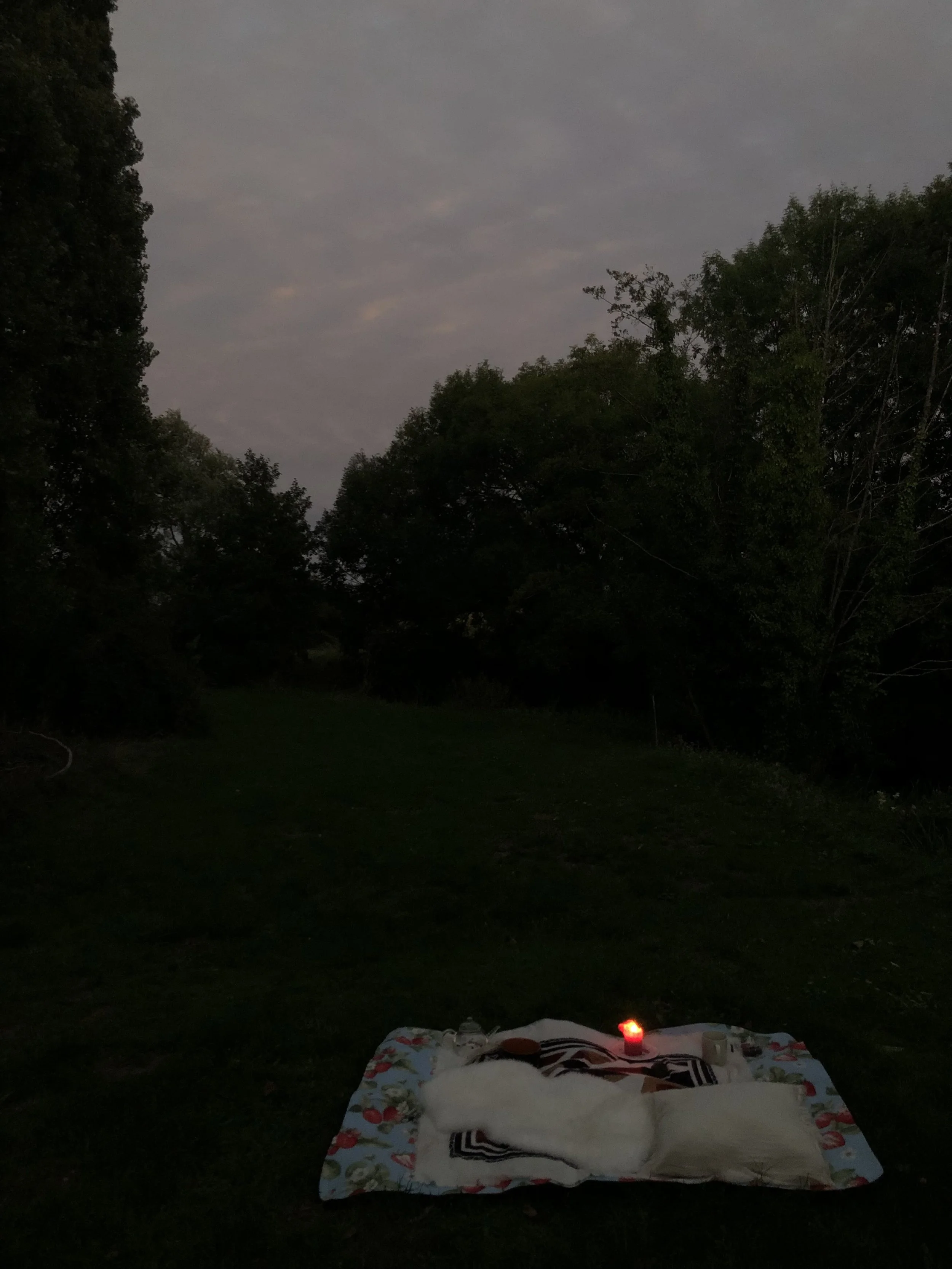 IMG_3829.jpeg