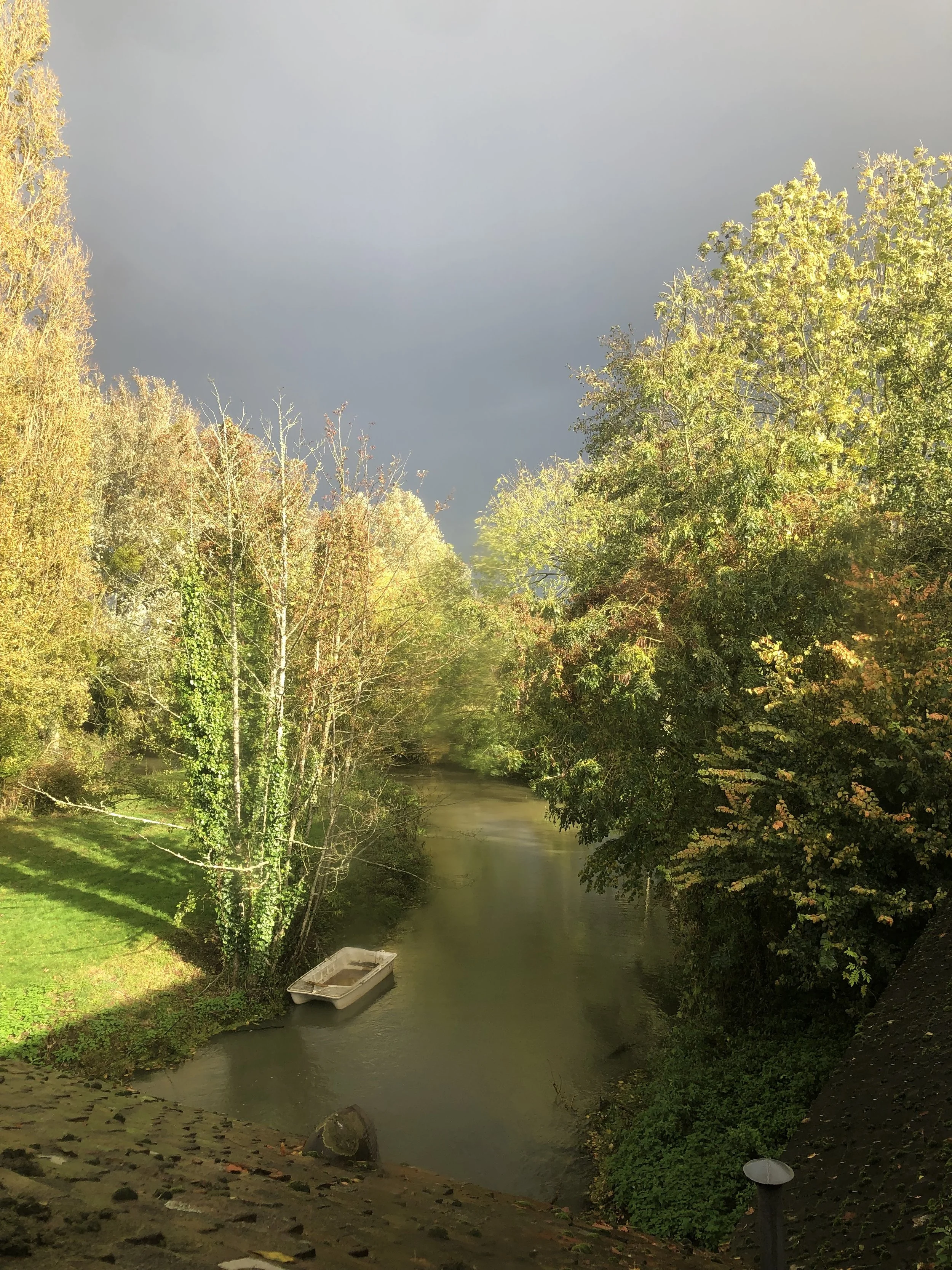 IMG_8901.jpeg