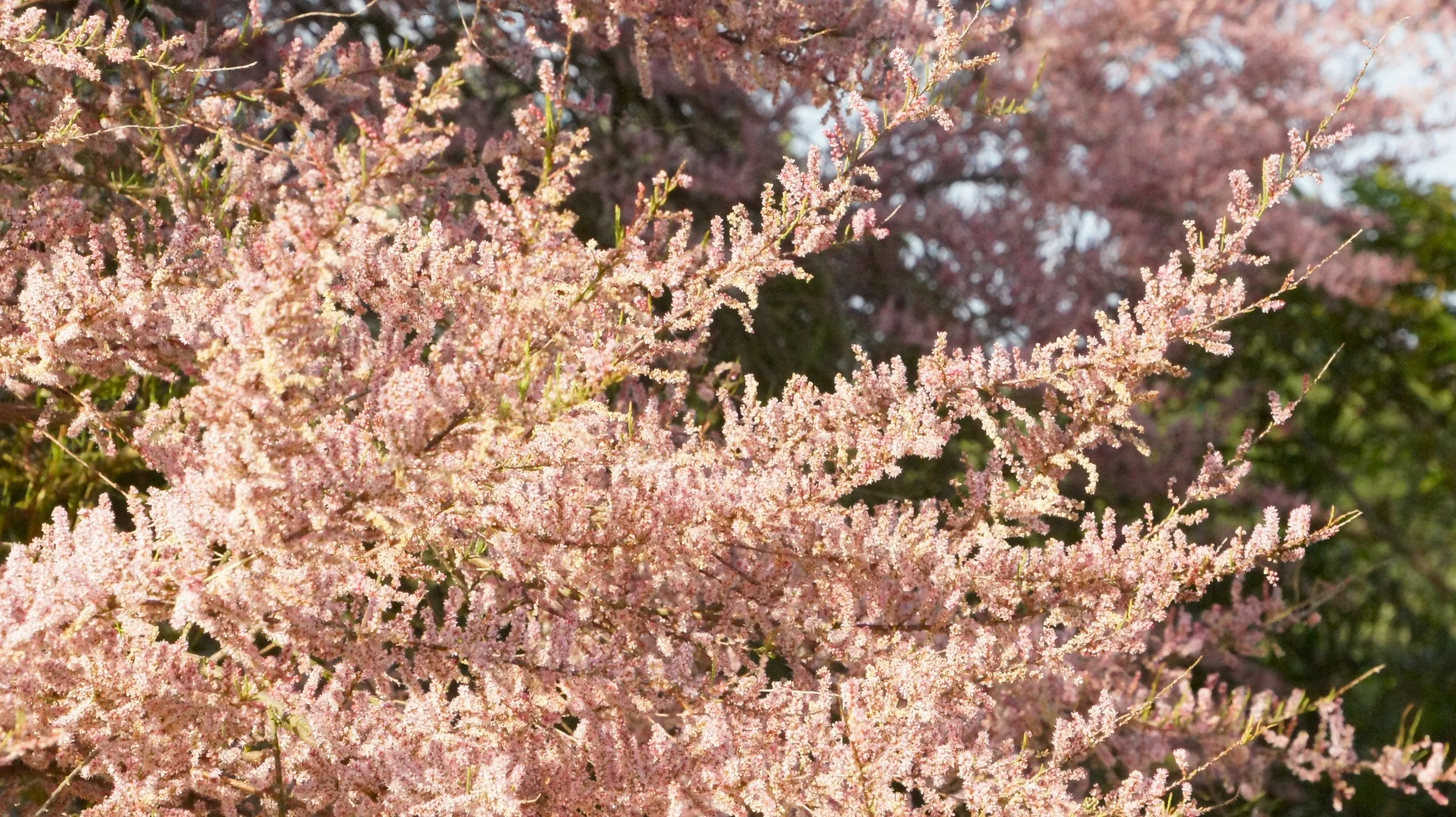 DSC06680.JPG