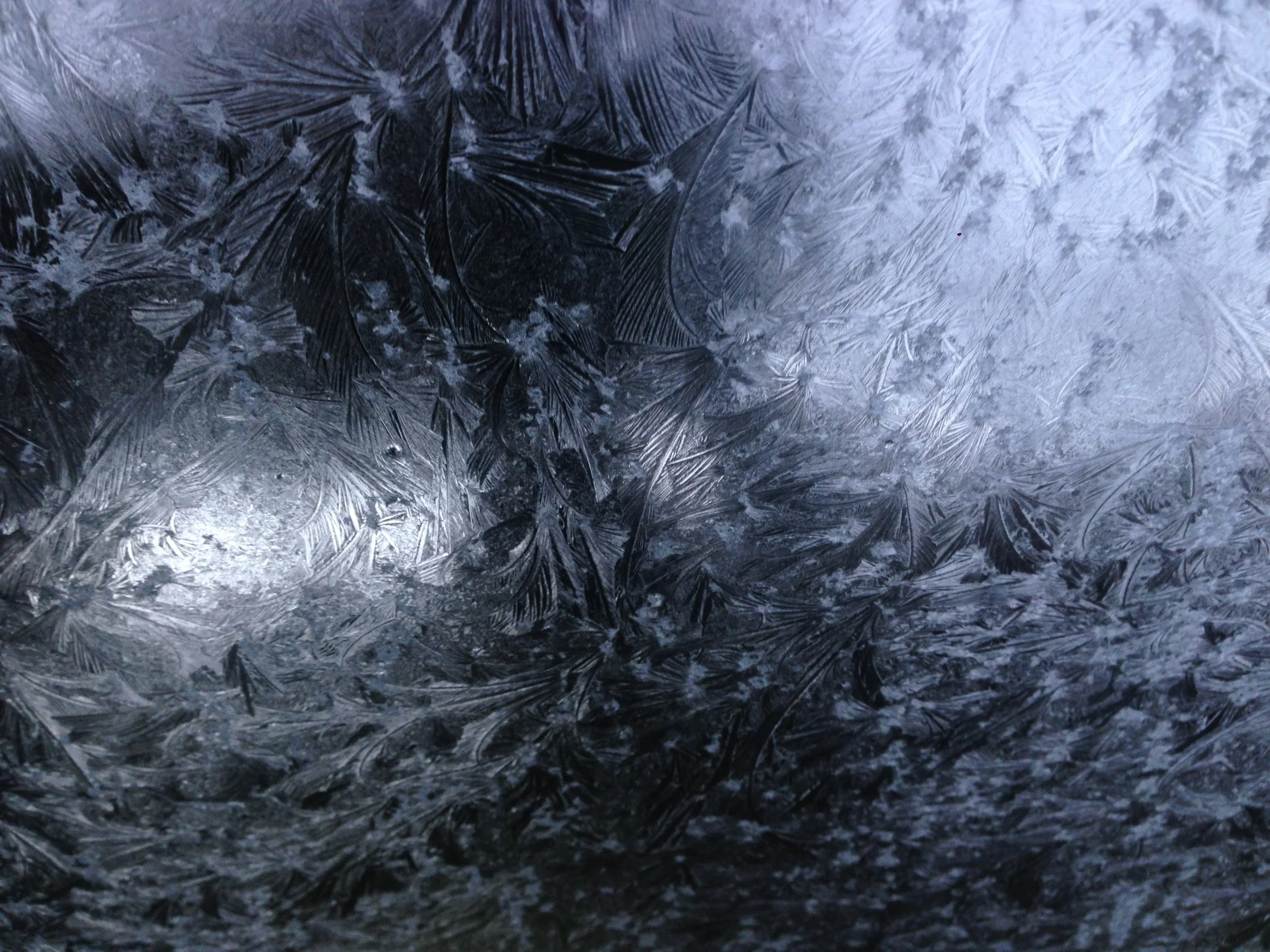 IMG_2567.JPG