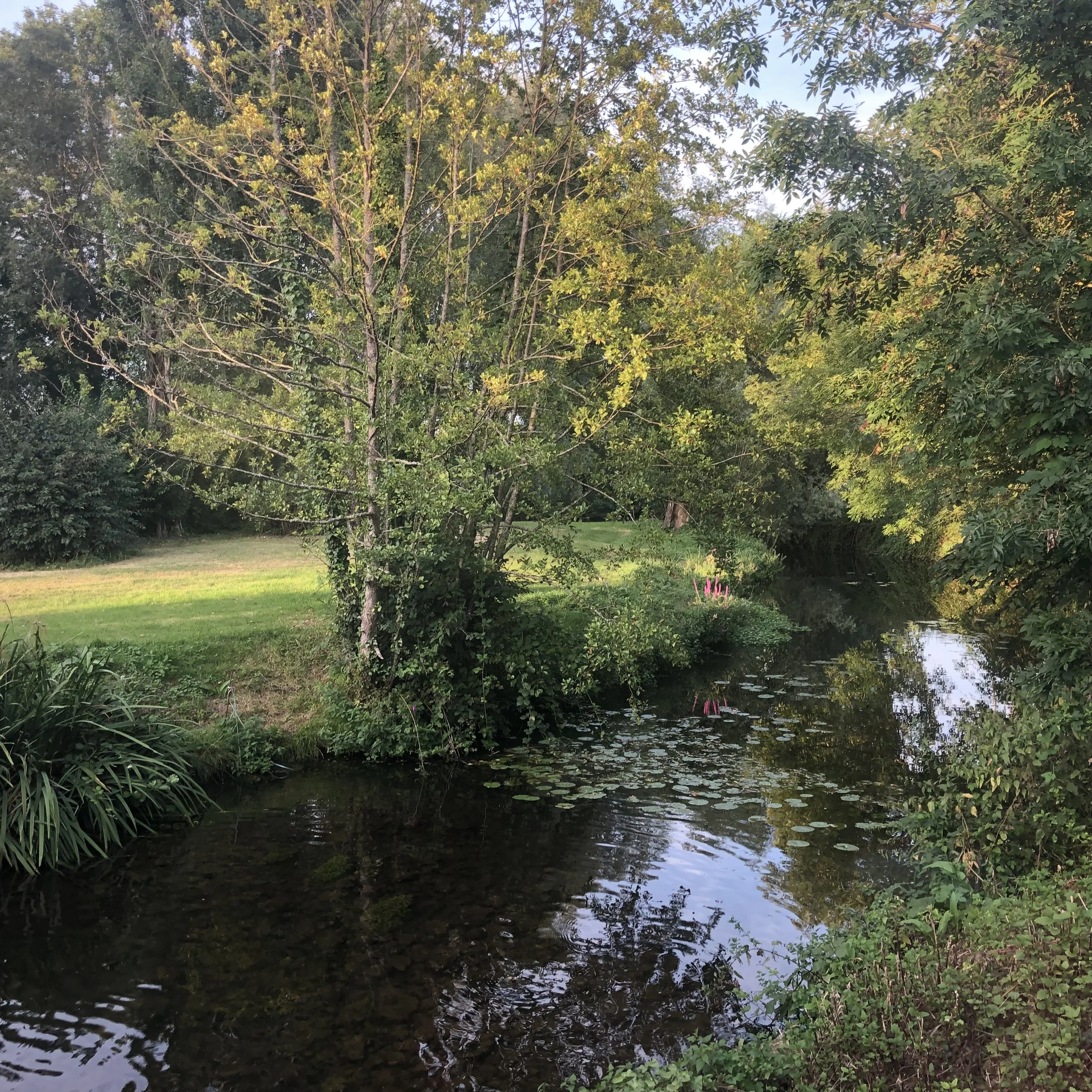 IMG_7850.jpeg