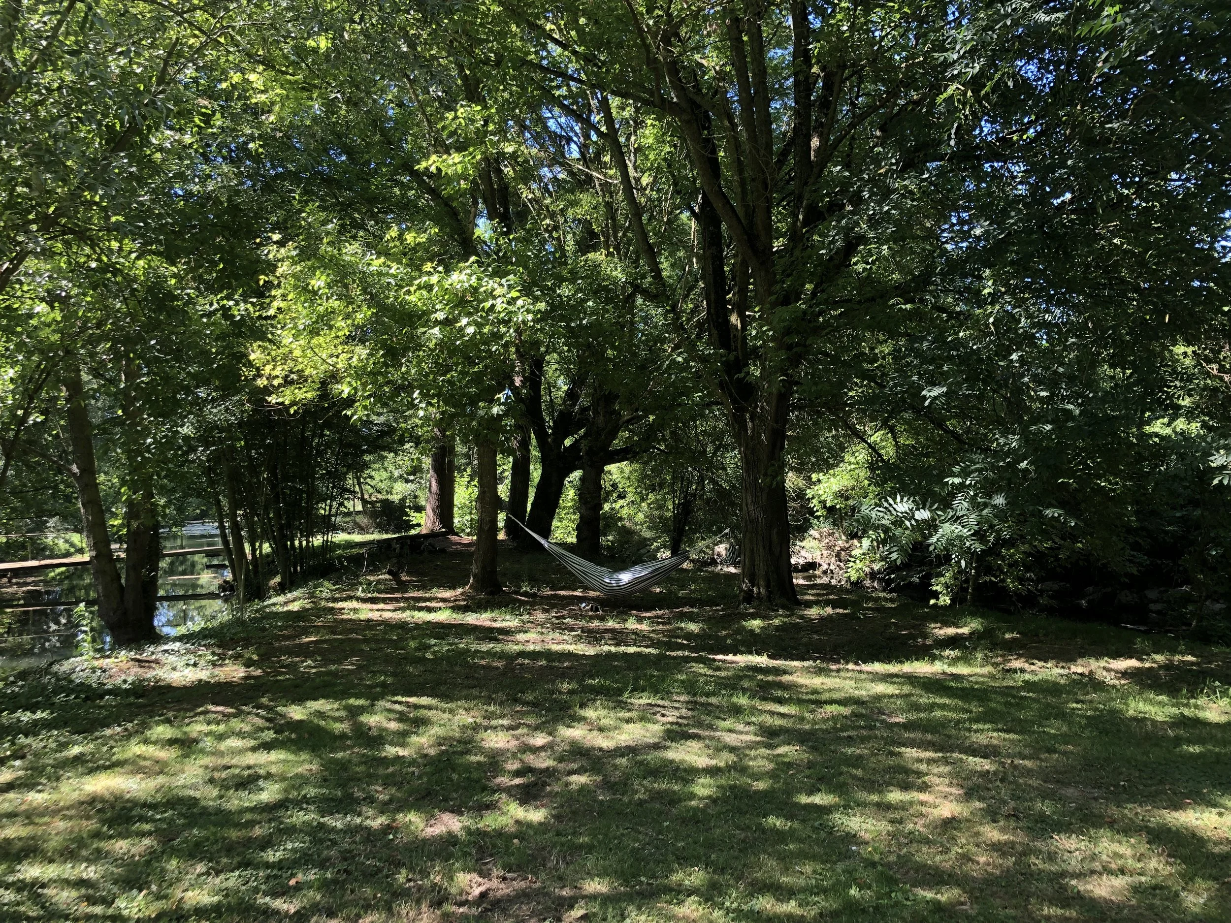 IMG_8446.jpeg