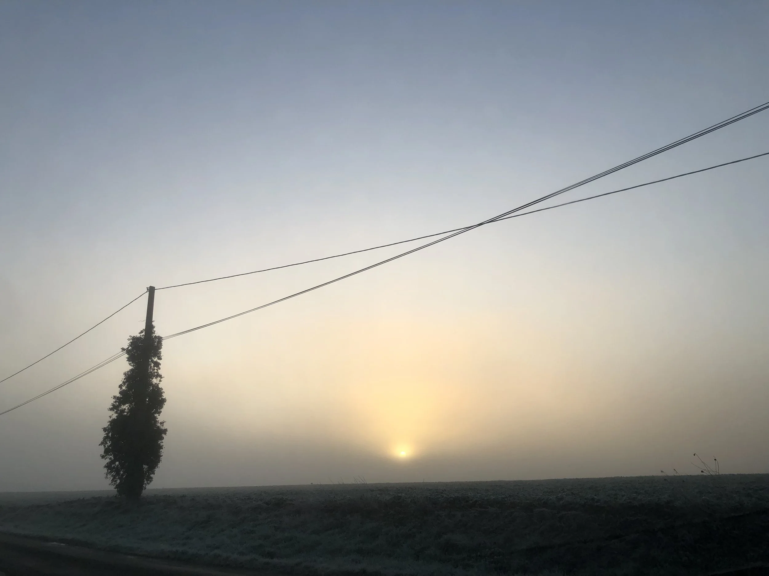 IMG_8328.jpeg