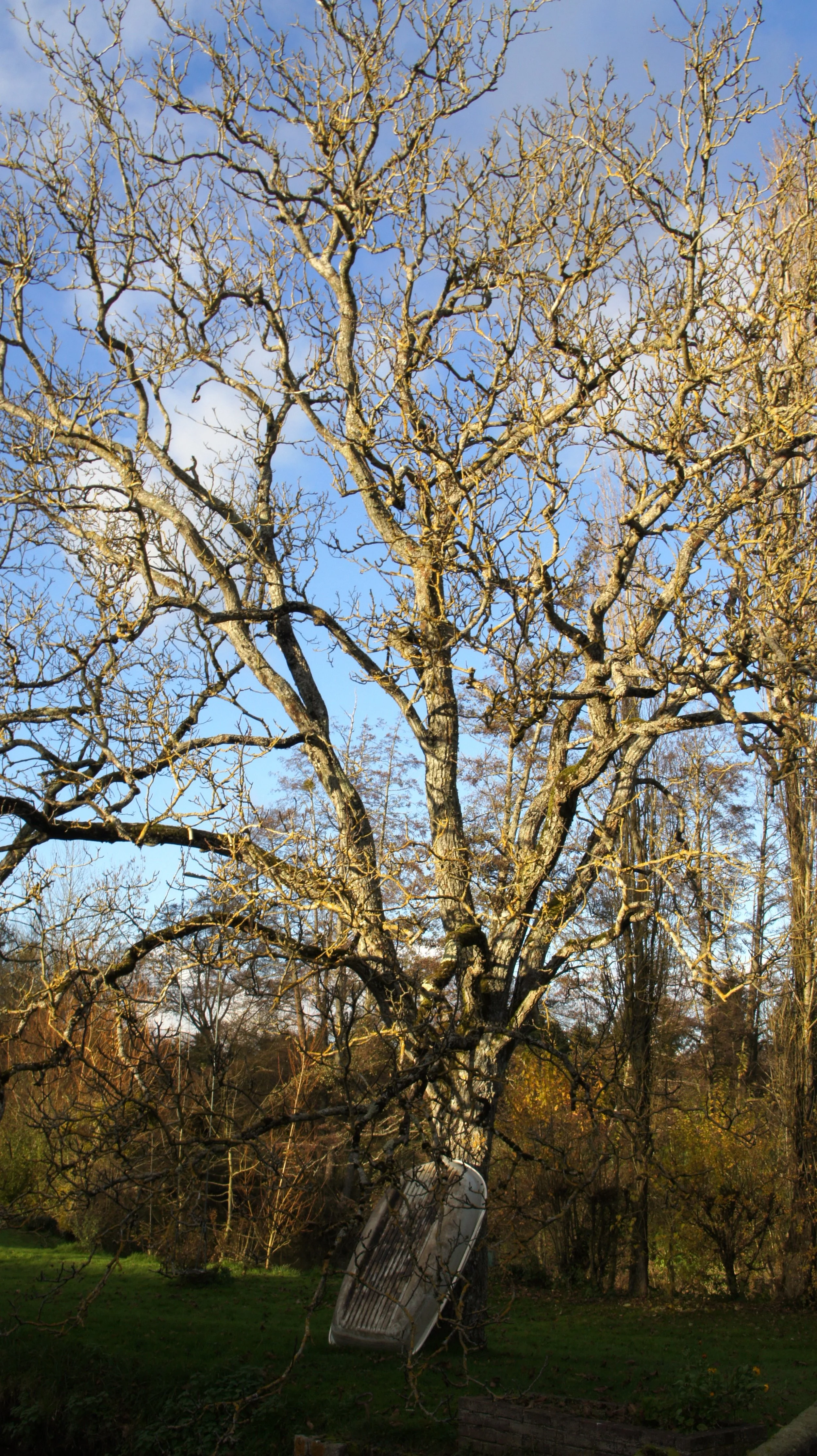 DSC04713.JPG