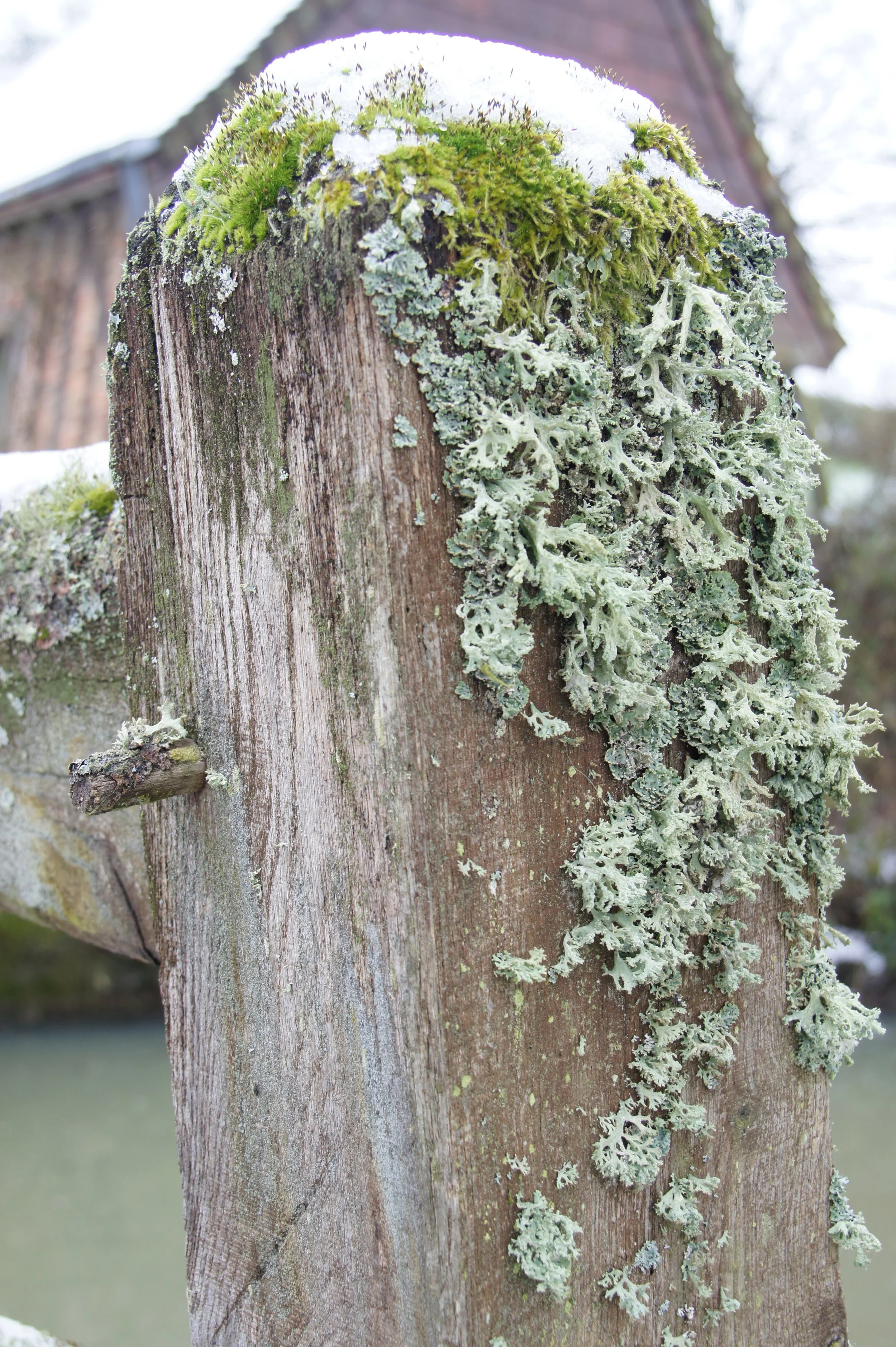 DSC05385.JPG