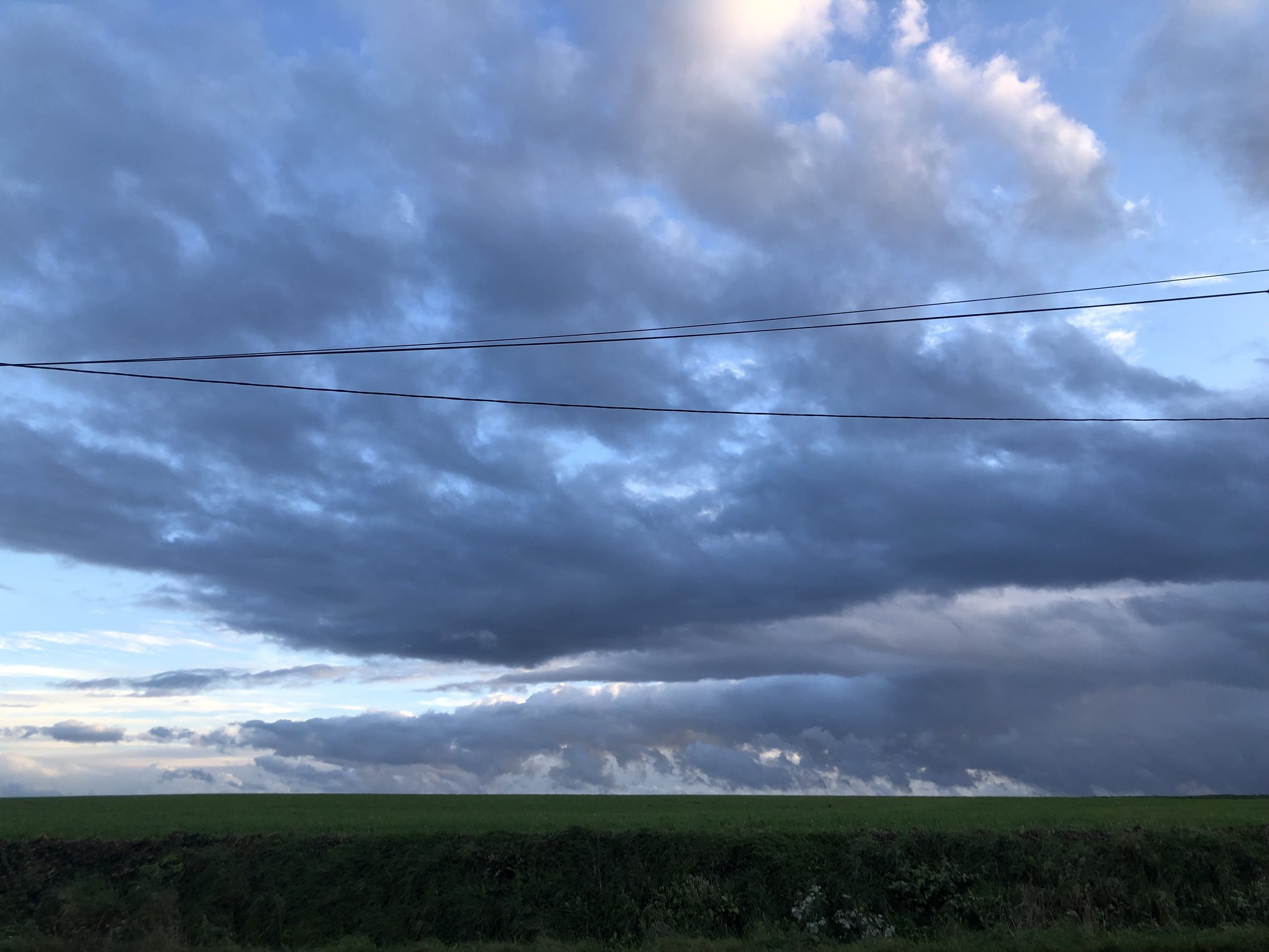 IMG_9191.jpeg