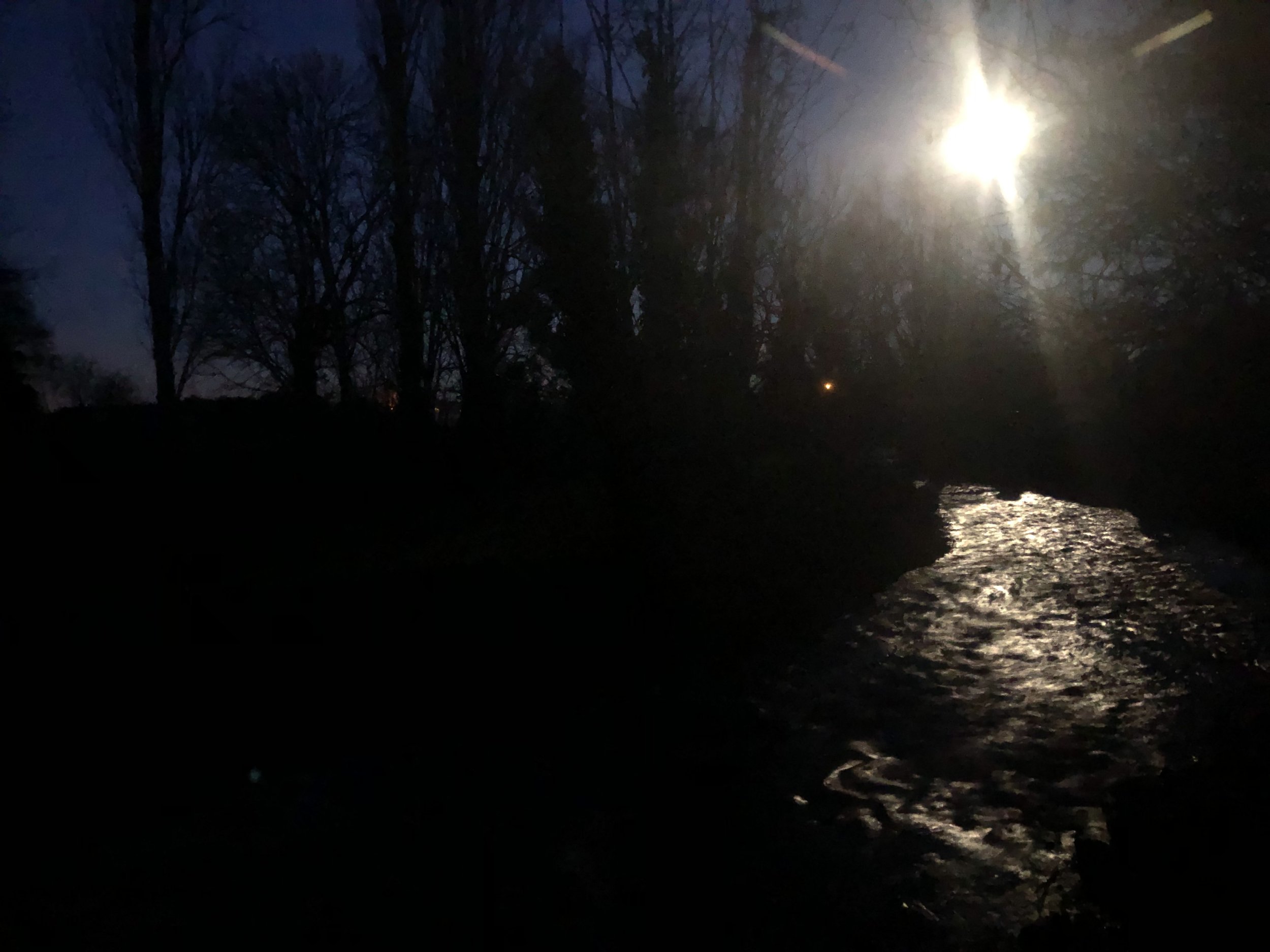 IMG_8047.jpeg