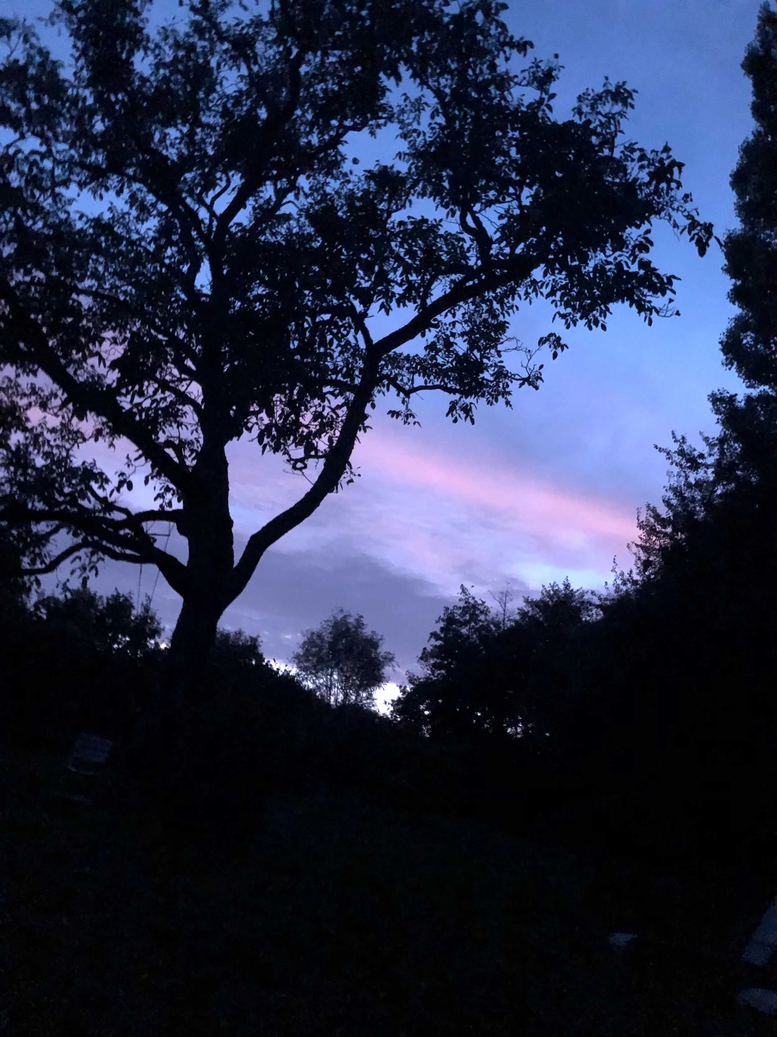 IMG_3832.jpeg